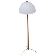 Vintage Swedish Mid-Century Modern Floor Lamp by Hans-Agne Jakobsson