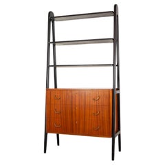 Vintage Swedish Mid-Century Modern Tall Mahogany Bookcase/Cabinet