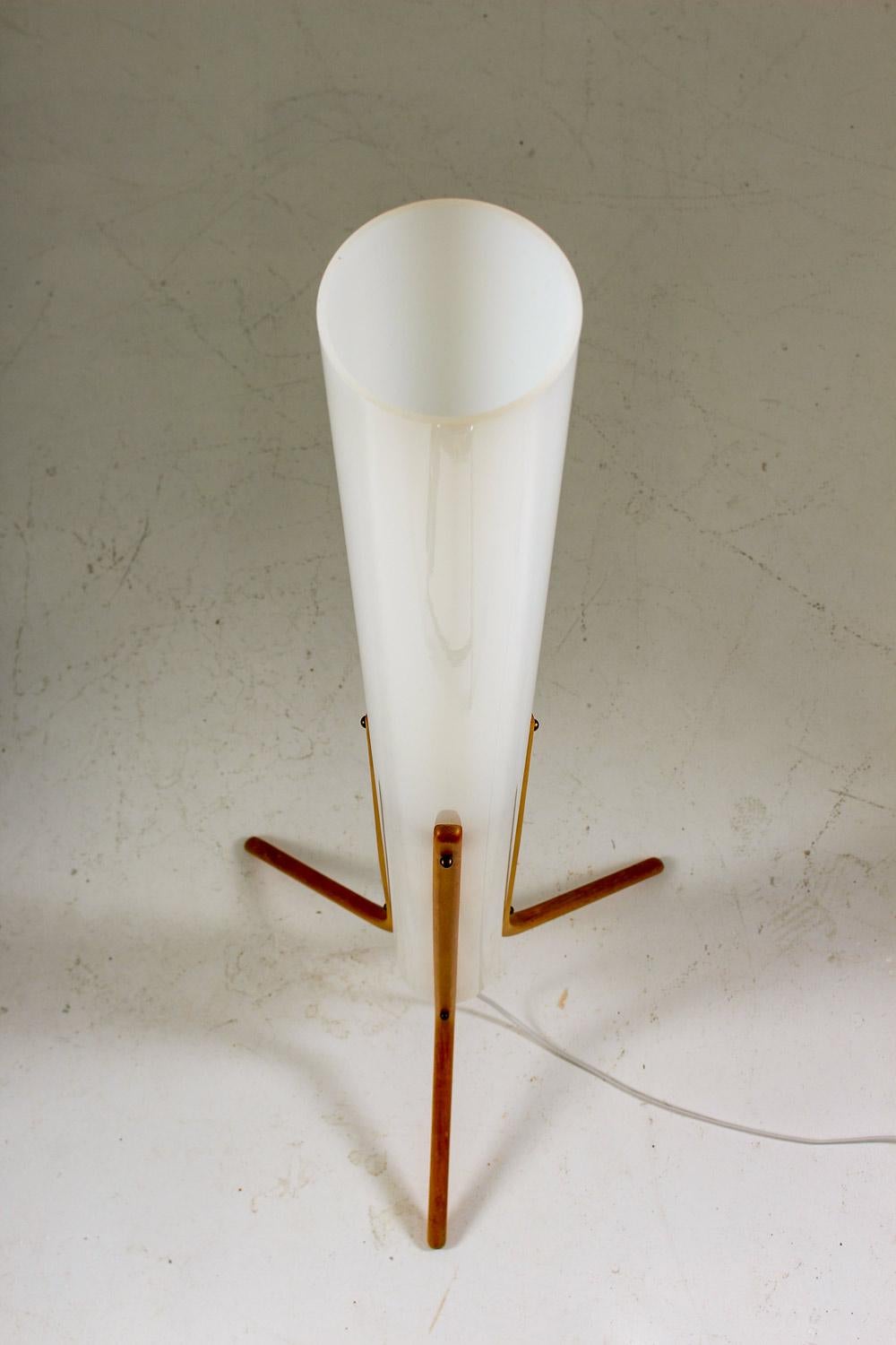 Mid-Century Modern Swedish Midcentury Floor Lamp in Acrylic and Beech by Eskilstuna, 1960s For Sale