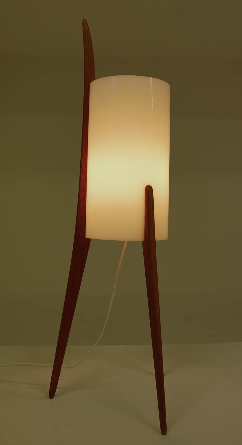 Acrilico Lampada da terra svedese del Medioevo in acrilico e Beeche di Luxus, anni '60 in vendita