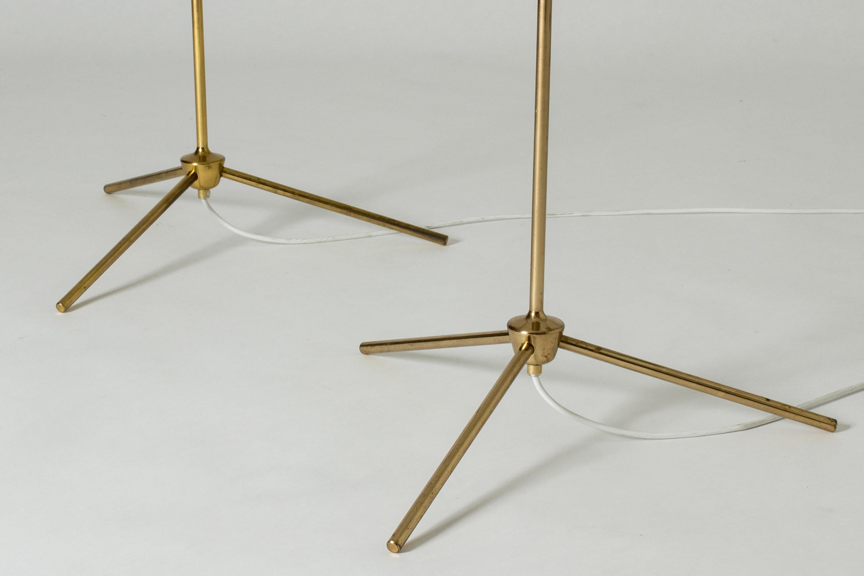 Mid-Century Modern Swedish Midcentury Floor Lamps from Bergboms, Sweden, 1950s For Sale