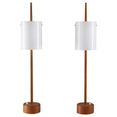 Swedish Midcentury Table Lamps in Acrylic and Oak by Luxus, 1960s