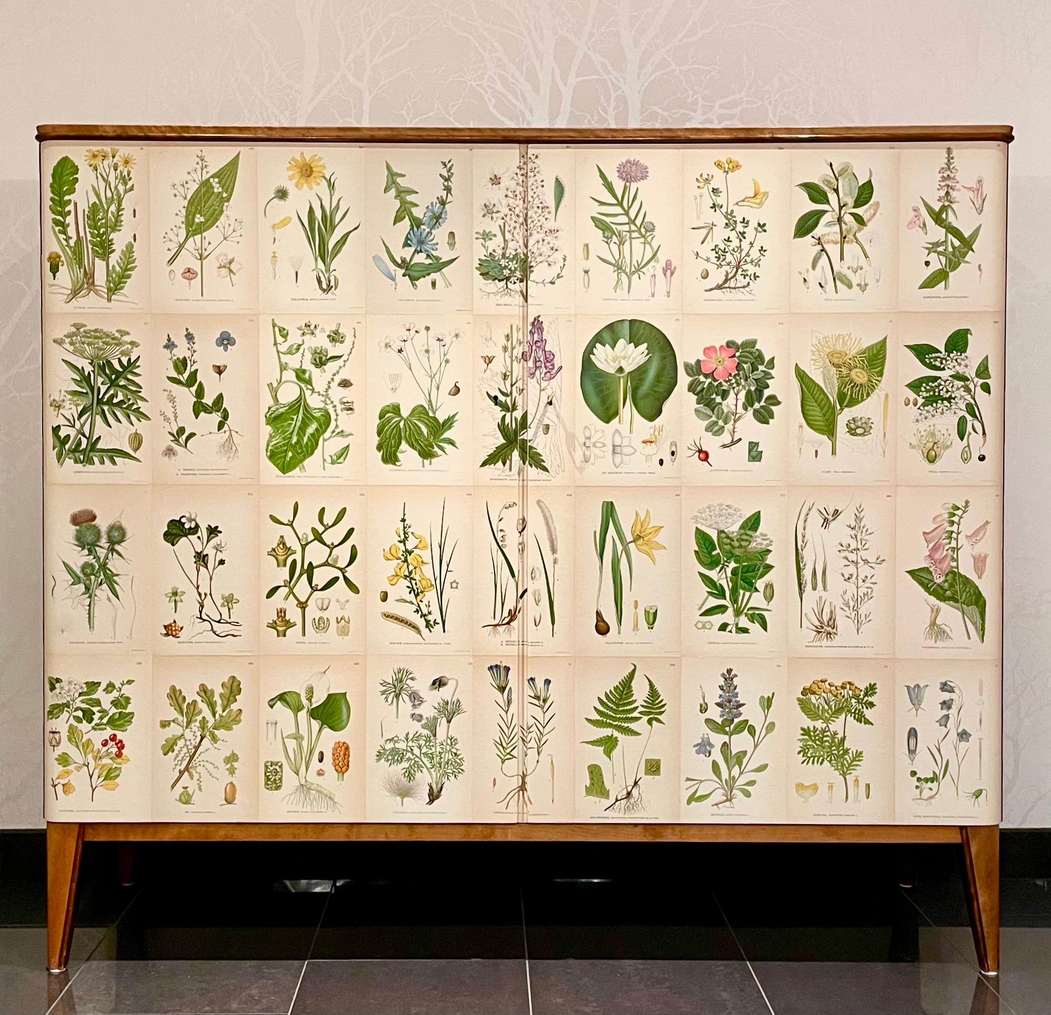 Scandinavian Modern Swedish Modern 1950s Birch Cabinet with Antique Botanical Nordens Flora Decor