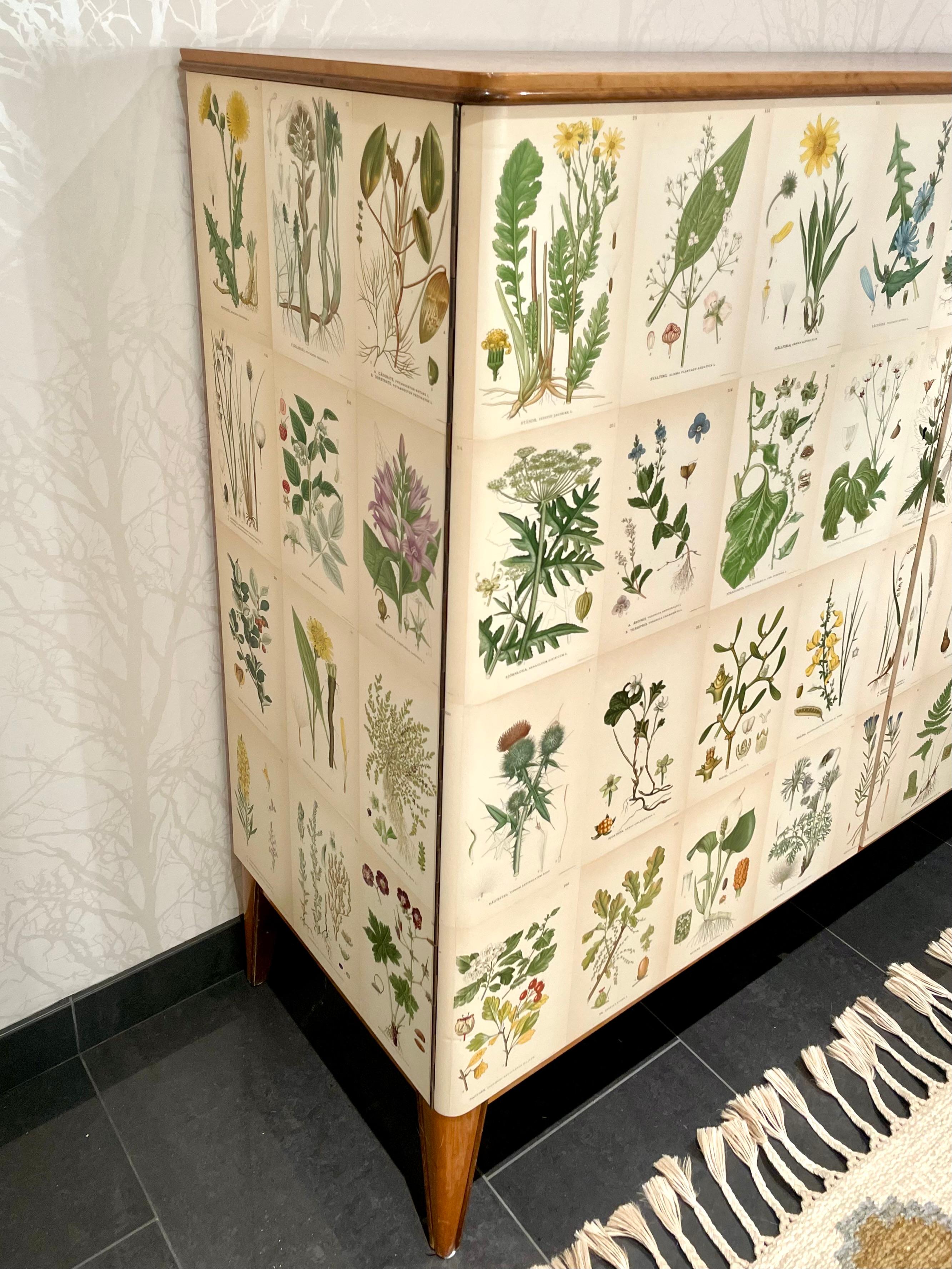 Appliqué Swedish Modern 1950s Birch Cabinet with Antique Botanical Nordens Flora Decor