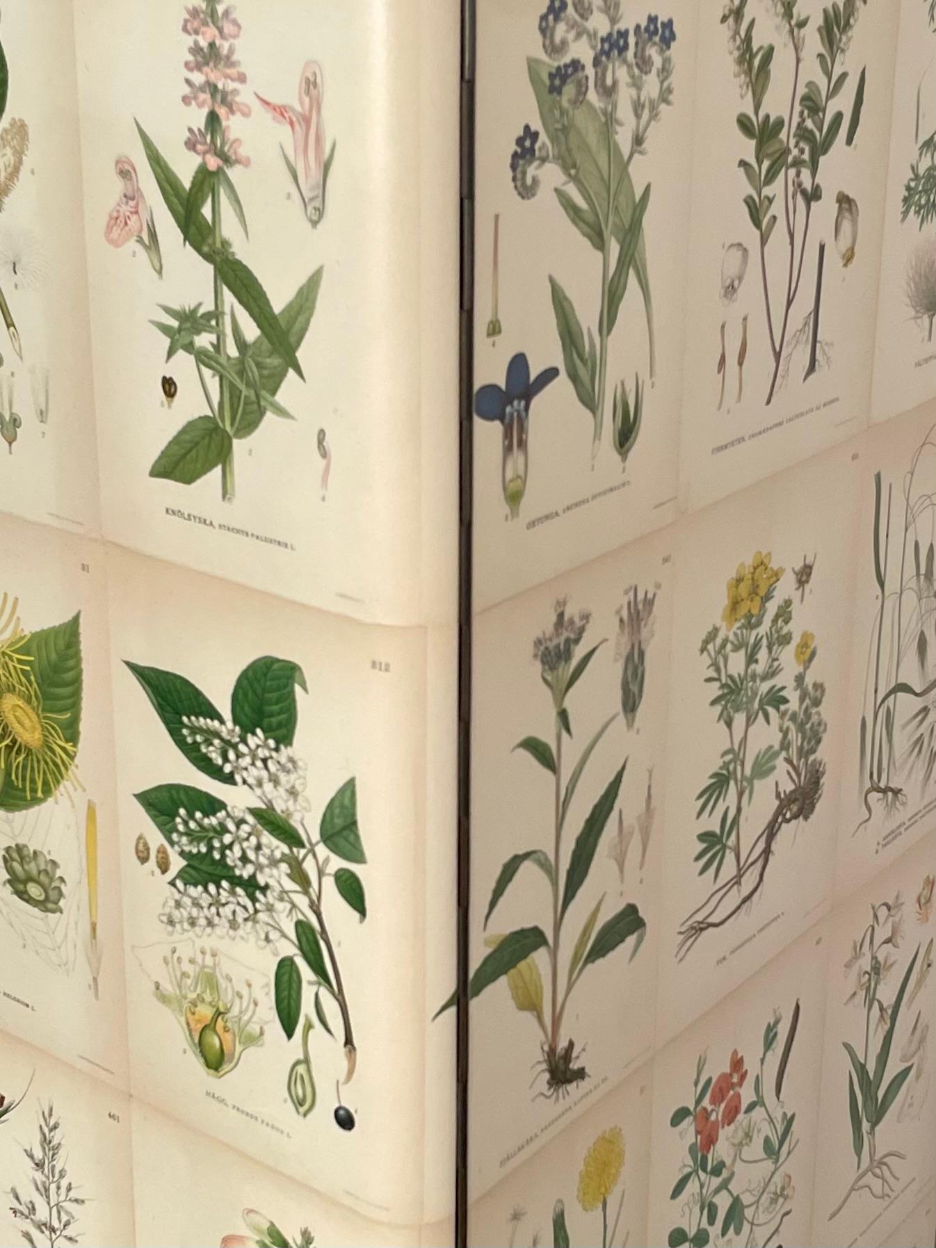 Swedish Modern 1950s Birch Cabinet with Antique Botanical Nordens Flora Decor 6