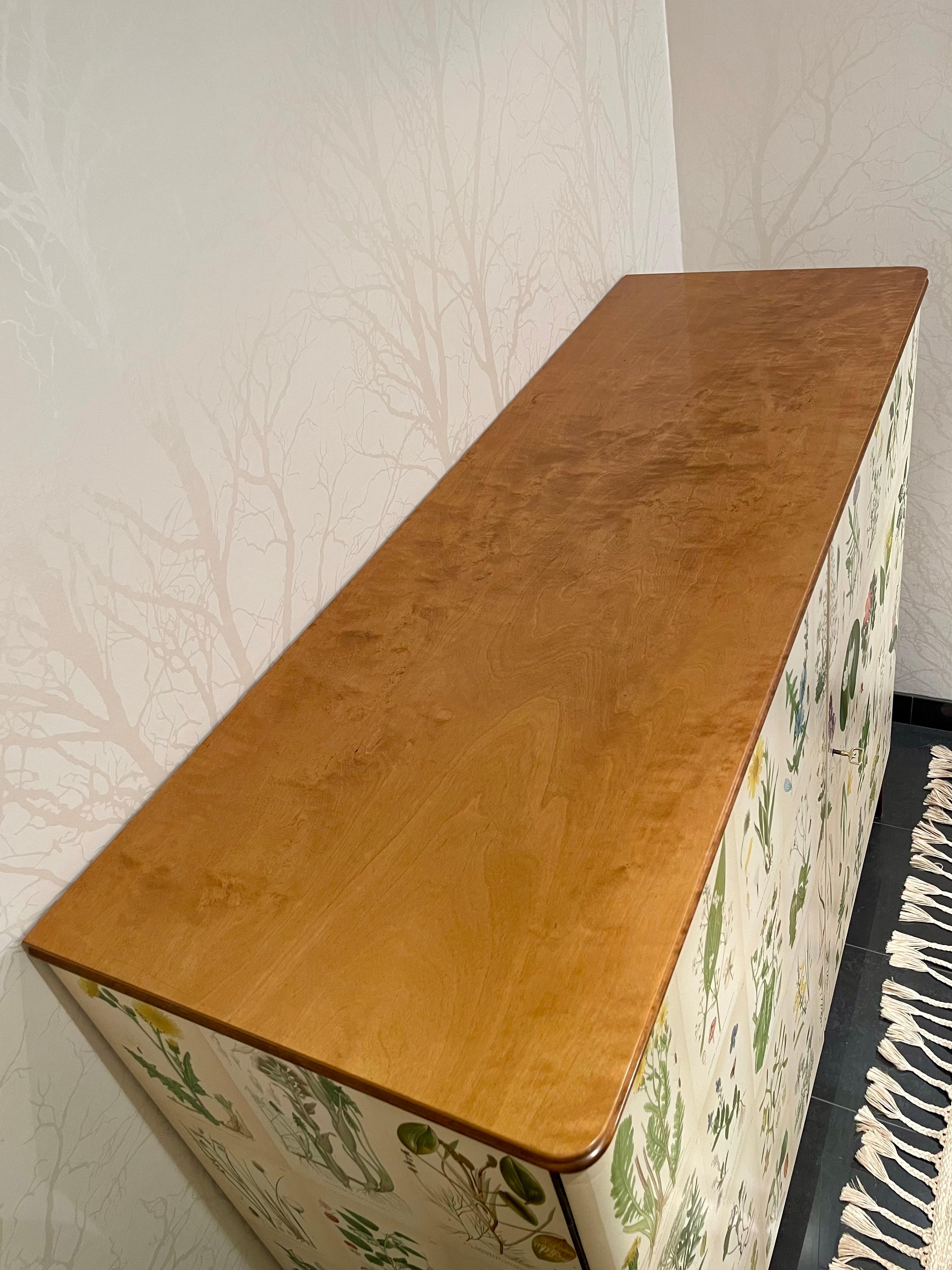 Mid-20th Century Swedish Modern 1950s Birch Cabinet with Antique Botanical Nordens Flora Decor