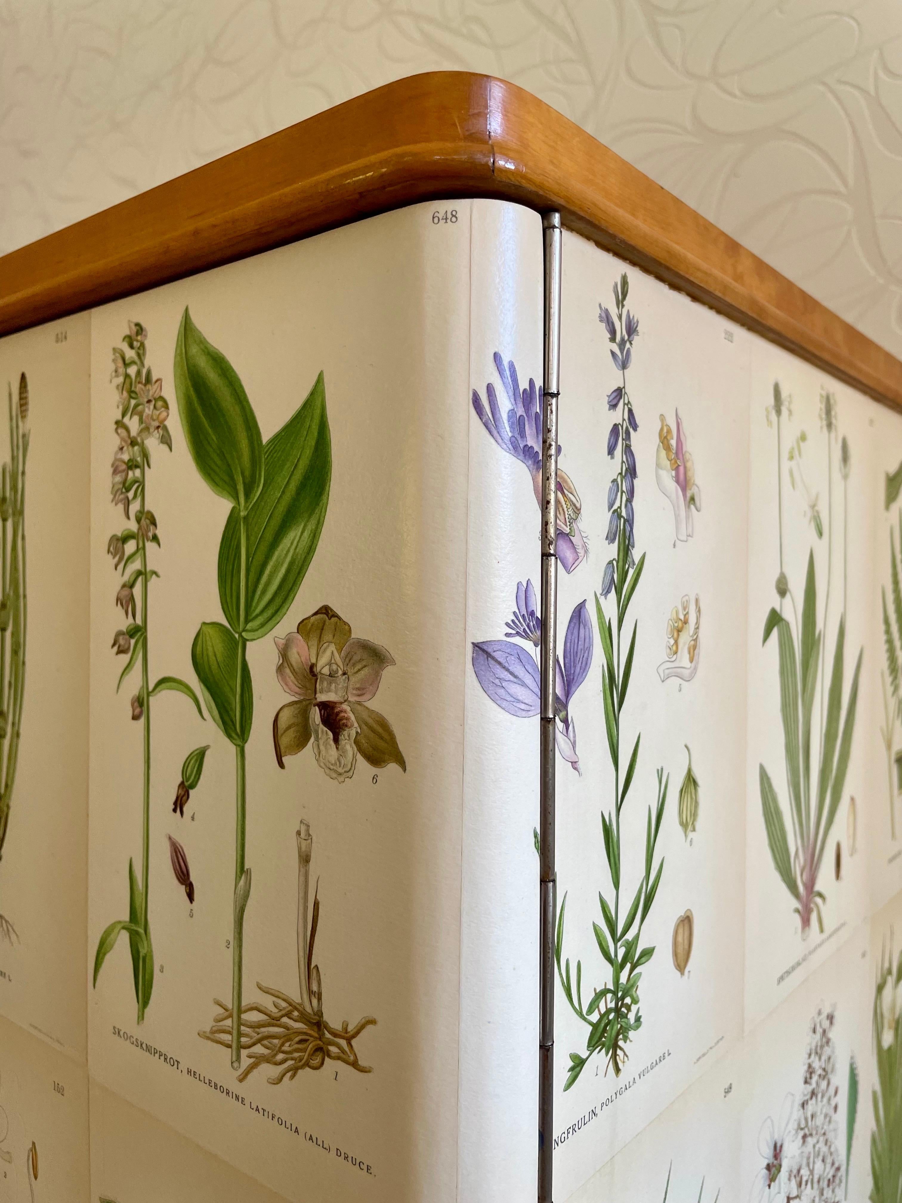 Swedish Modern 1950s Botanical Cabinet in Birch with Nordic Floral Decor 1