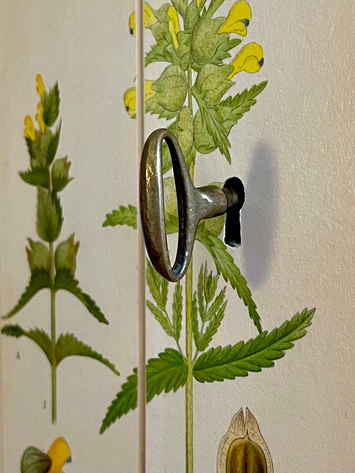 Swedish Modern 1950s Botanical Cabinet in Birch with Nordic Floral Decor 2