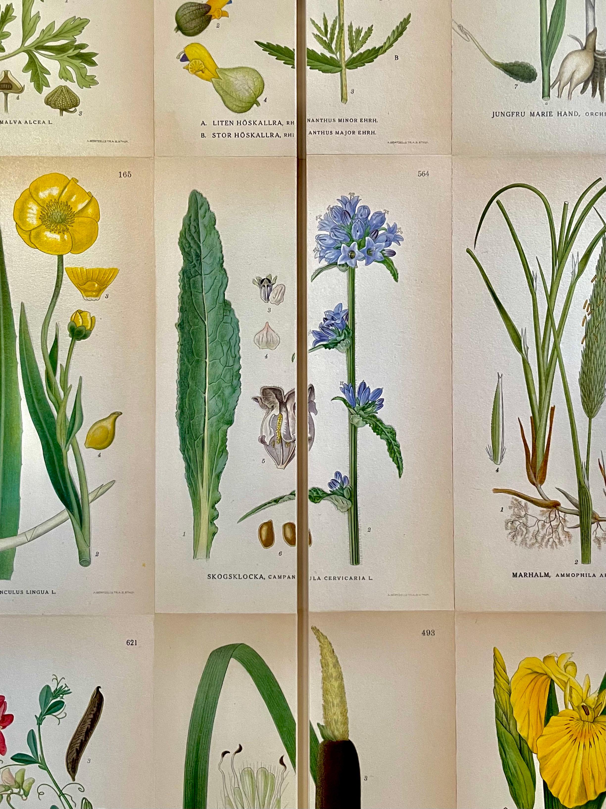 Swedish Modern 1950s Botanical Cabinet in Birch with Nordic Floral Decor 3
