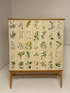 Swedish Modern 1950s Elm Cabinet with Antique Botanical Nordens Flora Decor
