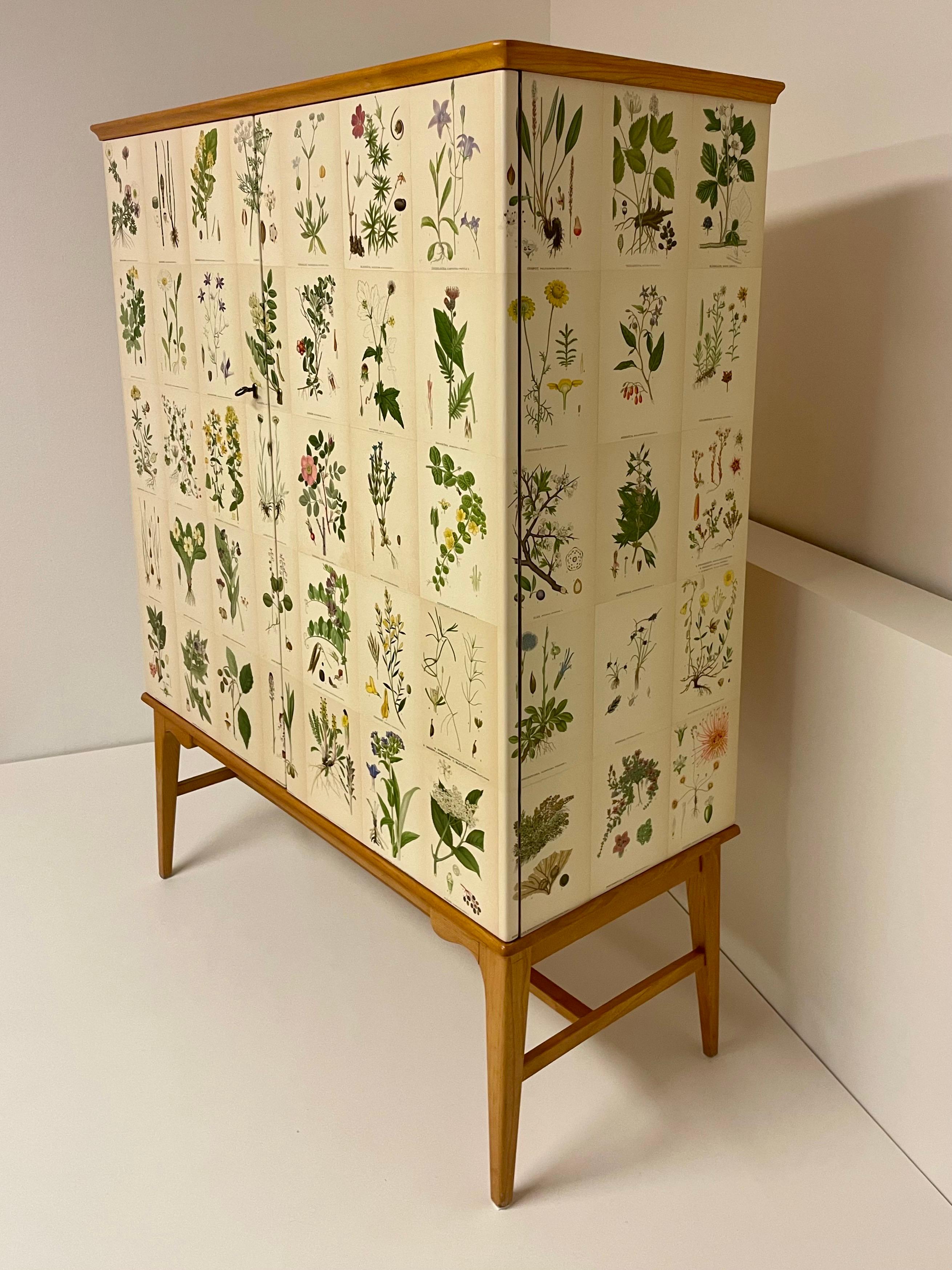 Scandinave moderne Armoire suédoise moderne des années 1950 en orme avec décor botanique ancien Nordens Flora en vente