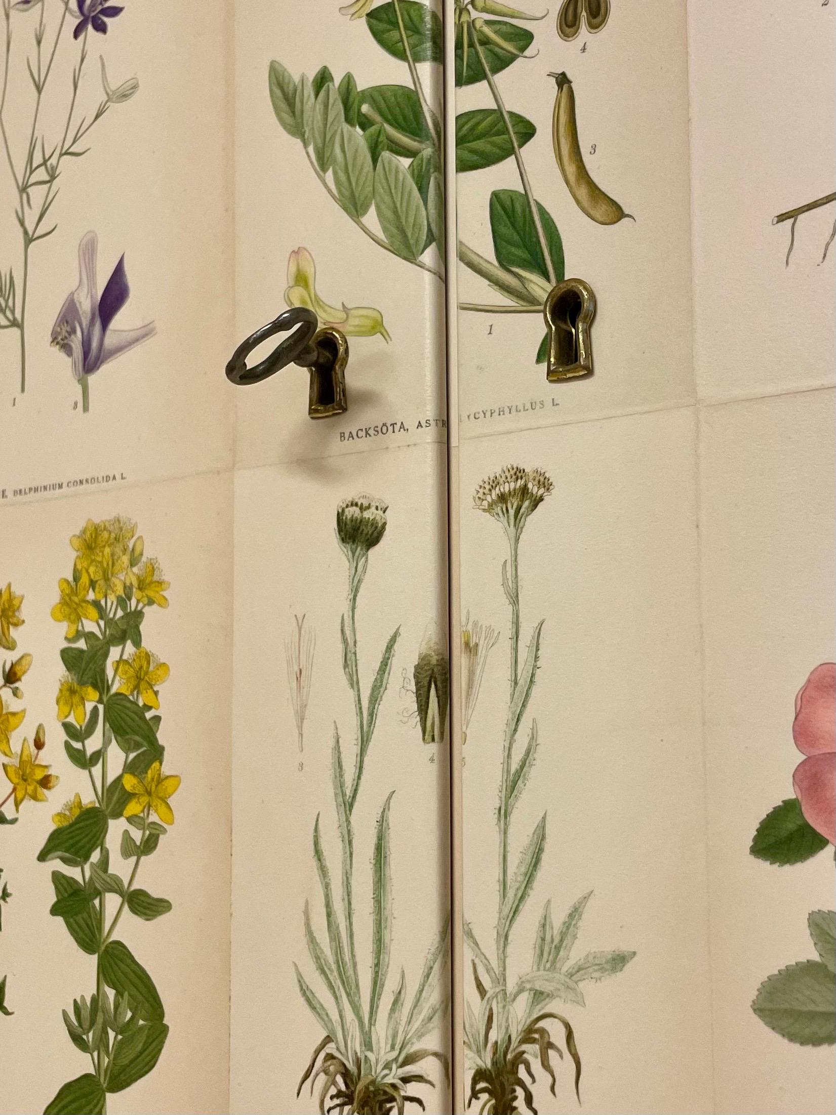 Armoire suédoise moderne des années 1950 en orme avec décor botanique ancien Nordens Flora Bon état - En vente à Örebro, SE