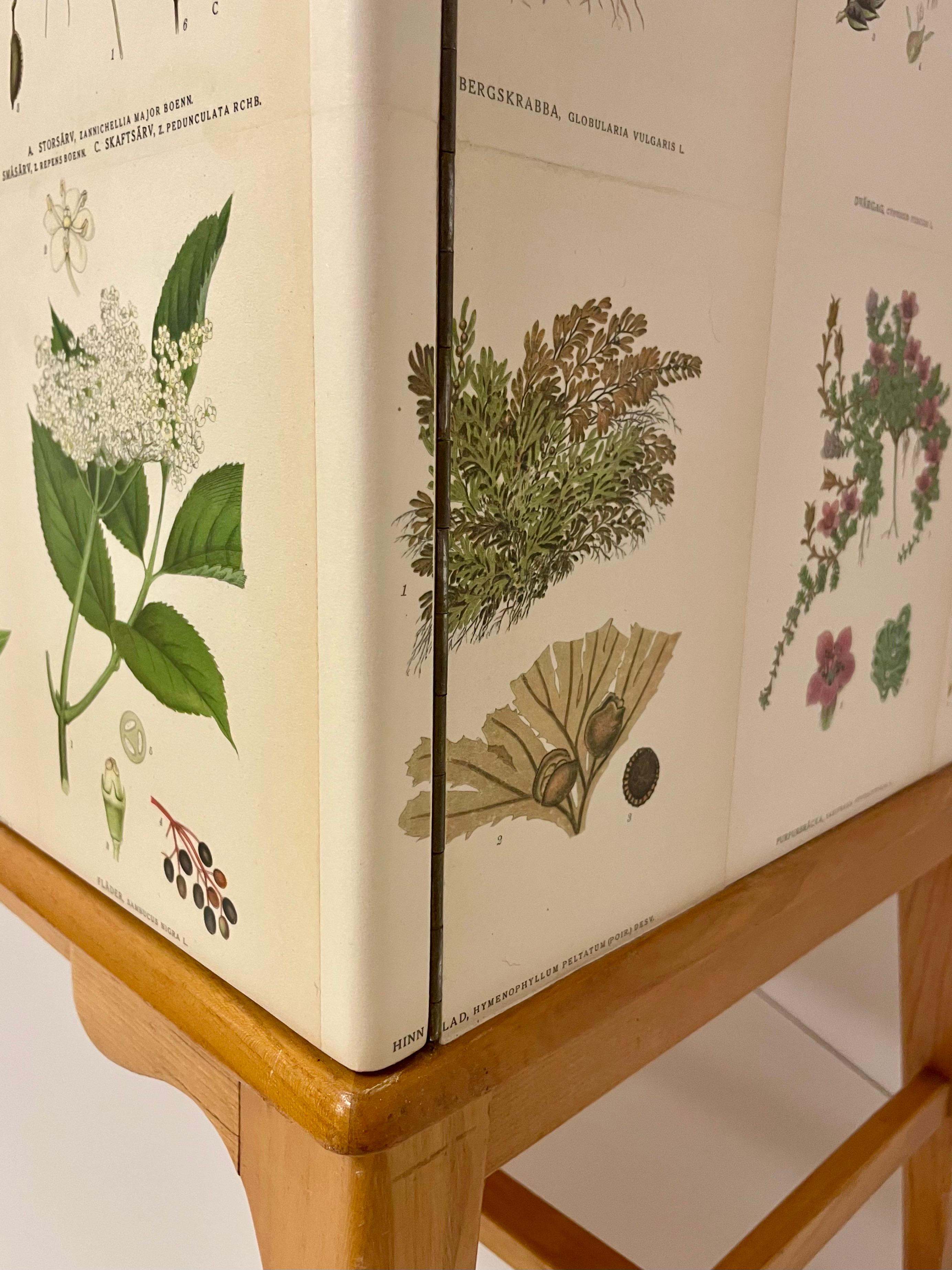 Milieu du XXe siècle Armoire suédoise moderne des années 1950 en orme avec décor botanique ancien Nordens Flora en vente