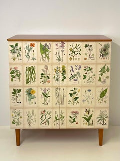 Armadio svedese moderno del 1950 in mogano con decorazioni antiche di fiori selvatici nordici