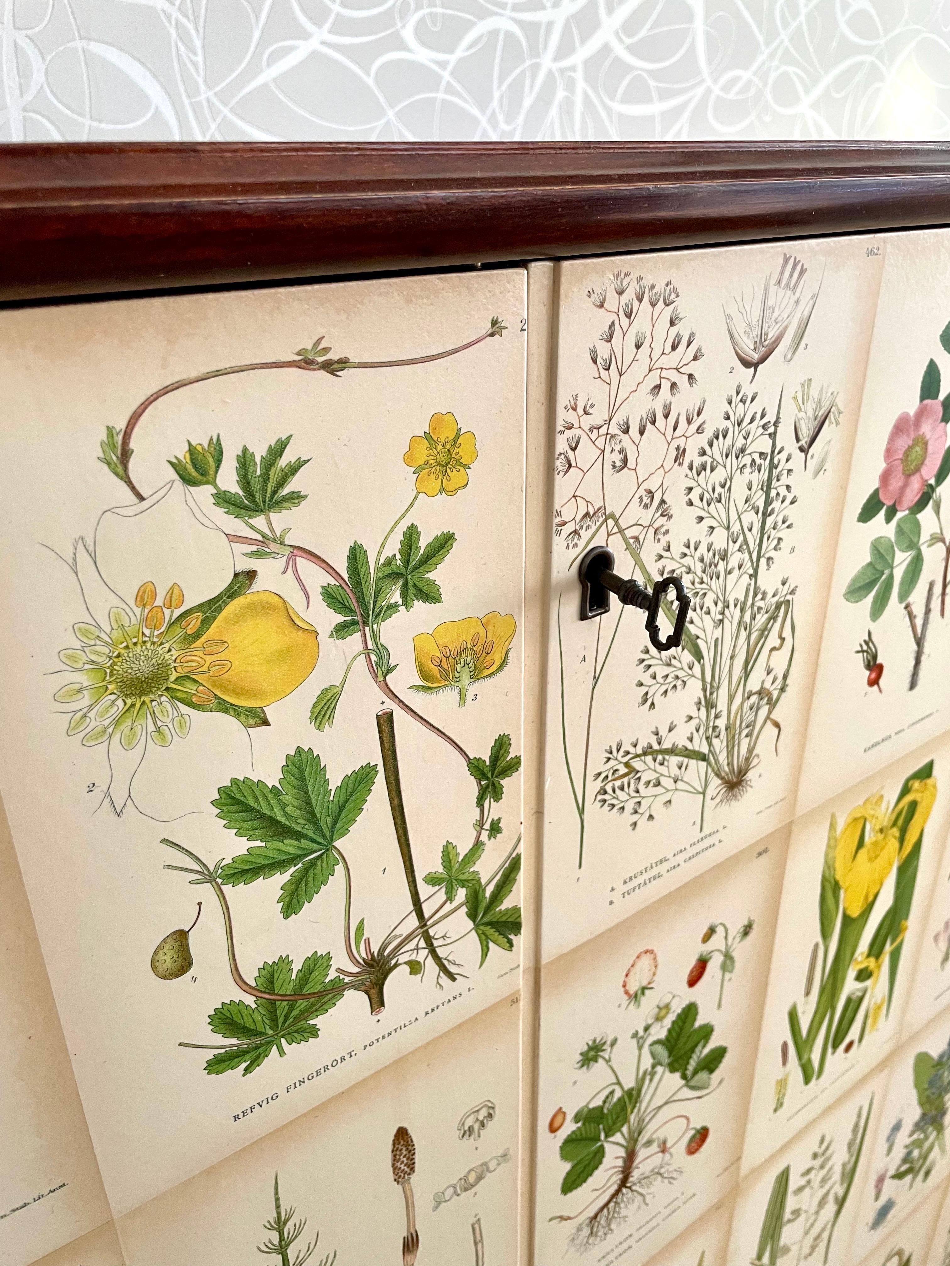 Swedish Modern 1950s Mahogny Cabinet with Nordens Flora (Nordic Flowers) Decor 
 For Sale 3