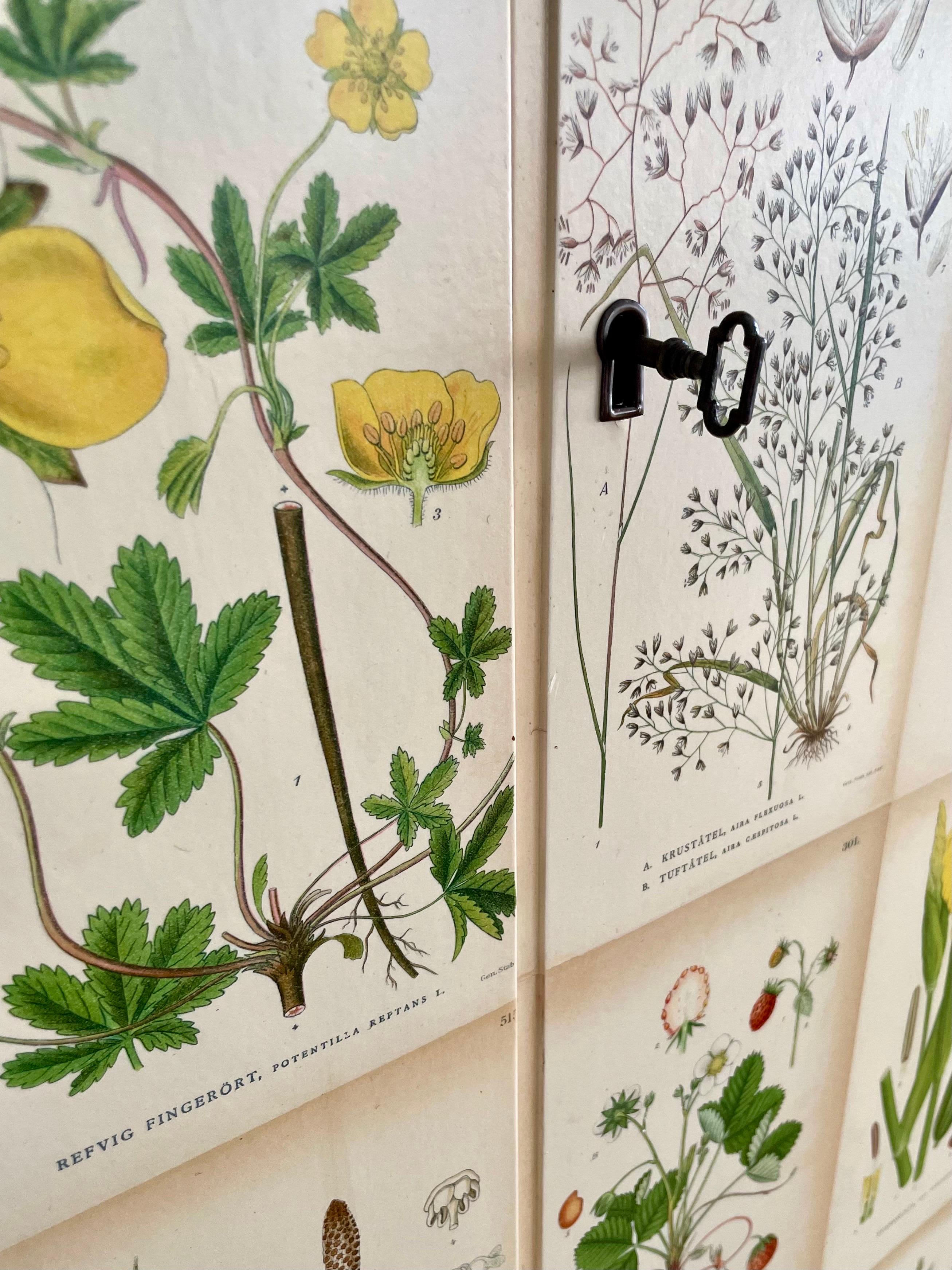 Swedish Modern 1950s Mahogny Cabinet with Nordens Flora (Nordic Flowers) Decor 
 For Sale 4