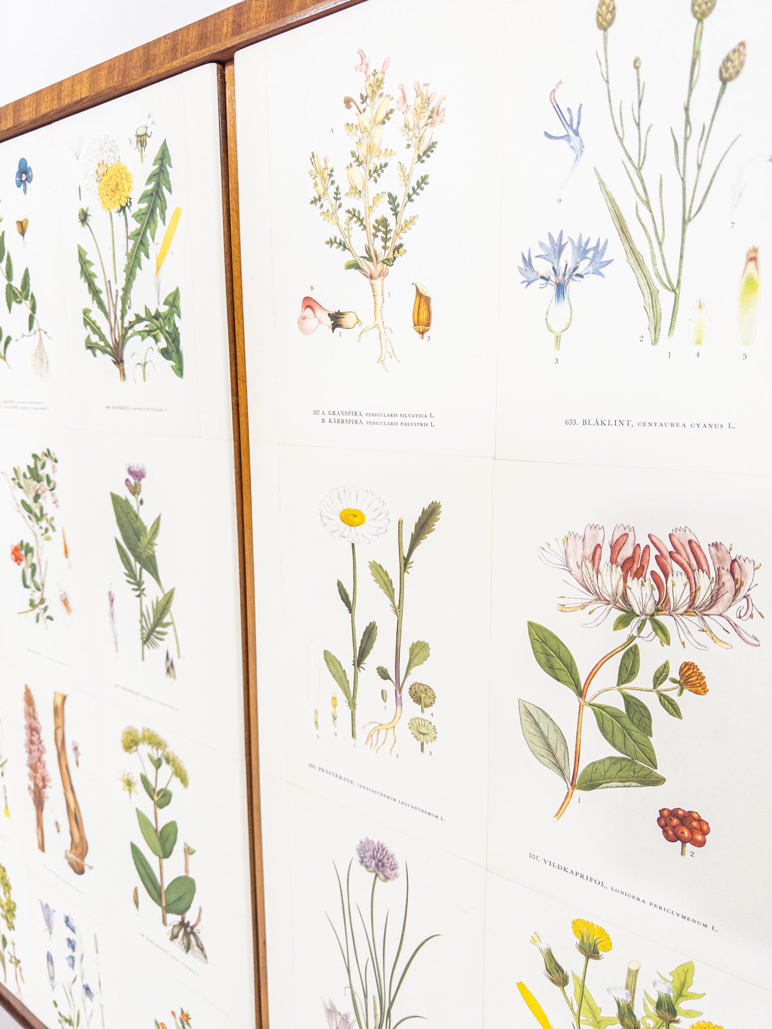 Swedish Modern “Flora” Sideboard, 1940s For Sale 7