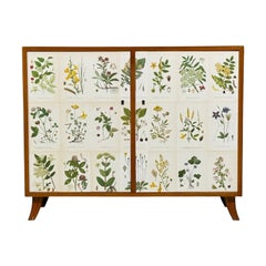 Swedish Modern, Nordens Flora Cabinet, Brass, Floral Lithographs, Sweden, 1930s