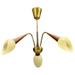 Swedish Modern, Pendant Light, Brass, Wood, Glass, Sweden, 1920s