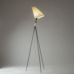 Swedish Modernist Floor Lamp, 1950s
