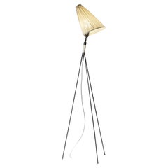 Schwedische modernistische Stehlampe, 1950er-Jahre