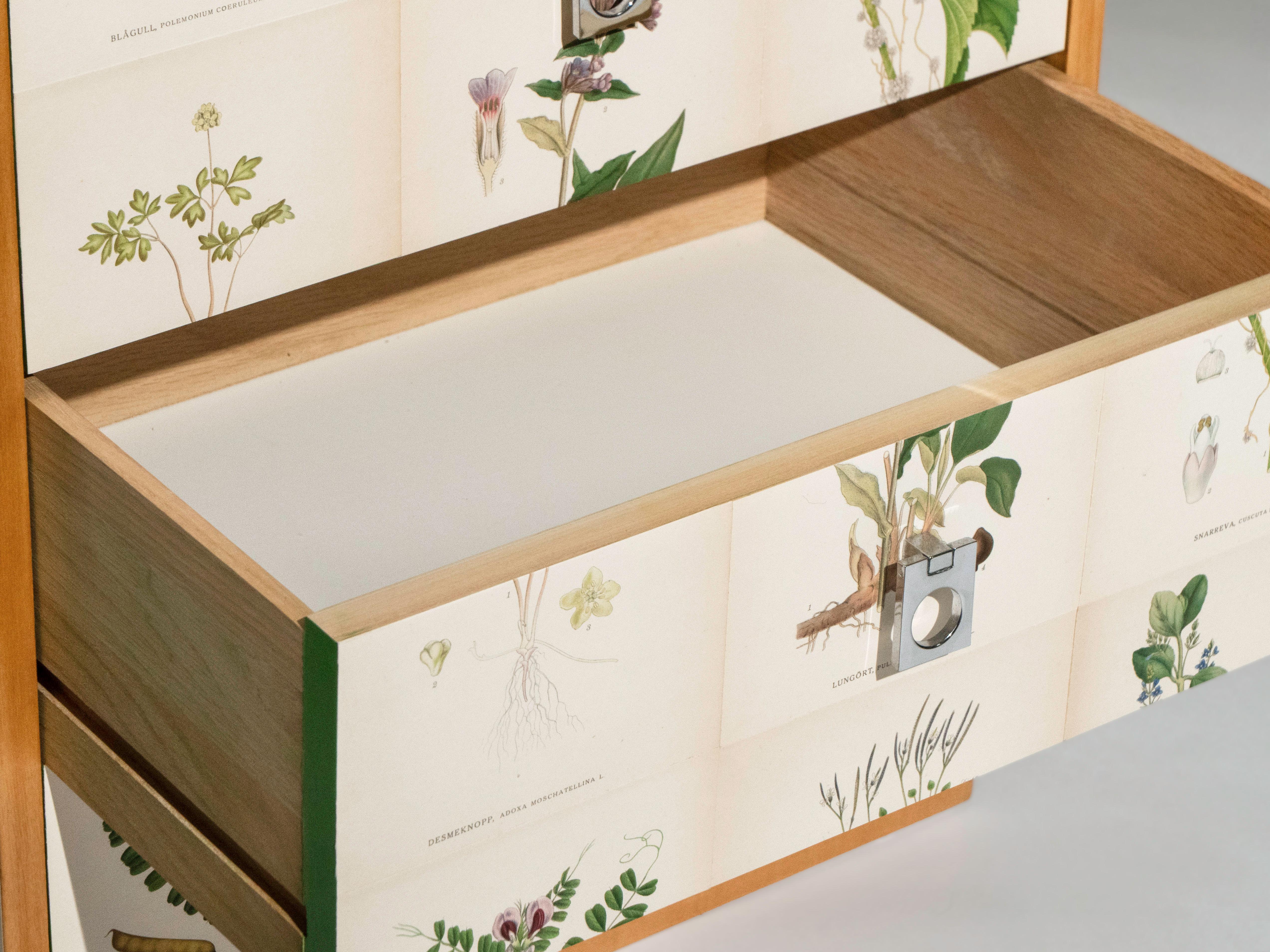 Par de armarios de abedul, estilo Josef Frank en venta 5