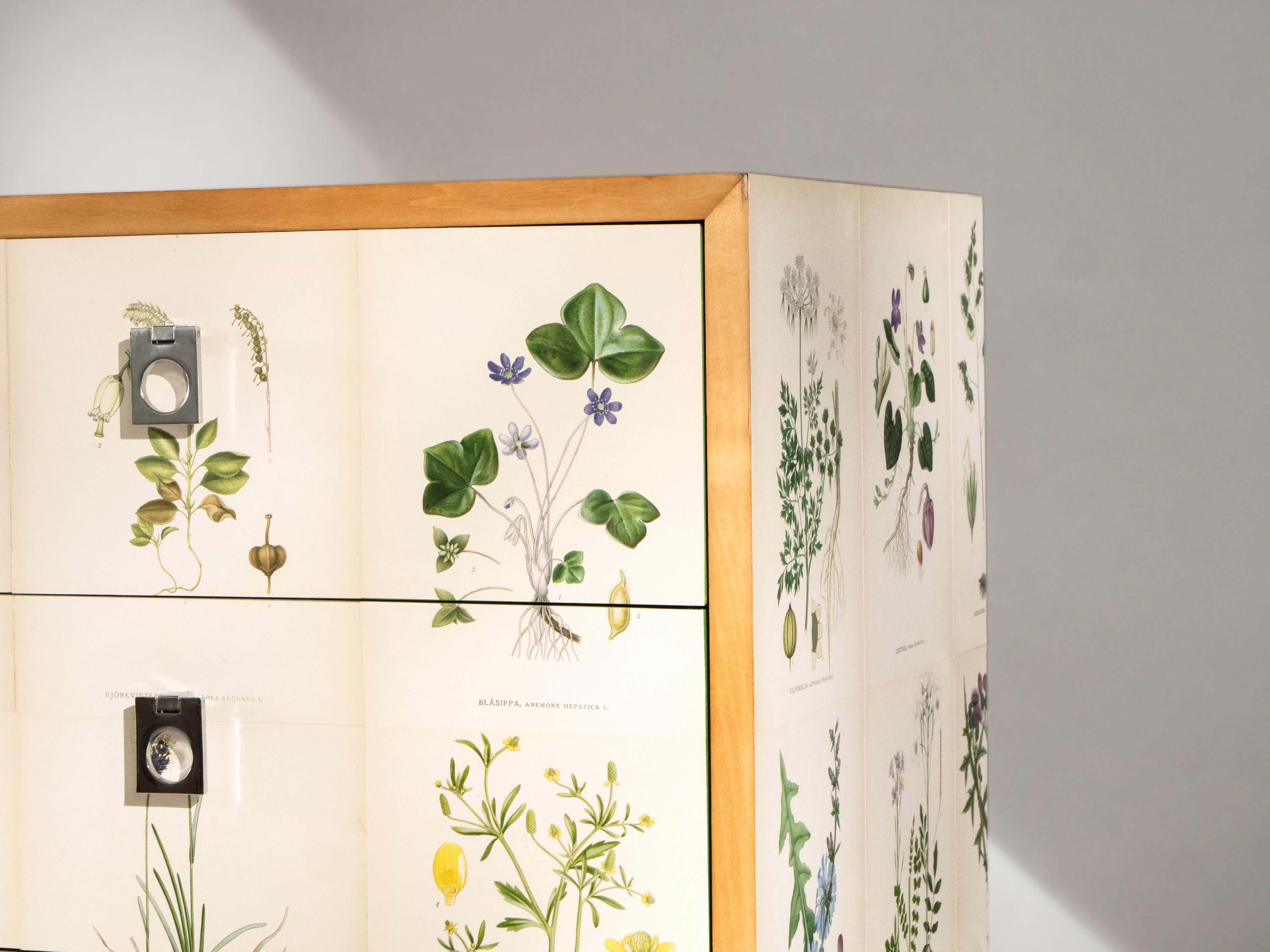 Par de armarios de abedul, estilo Josef Frank en venta 6