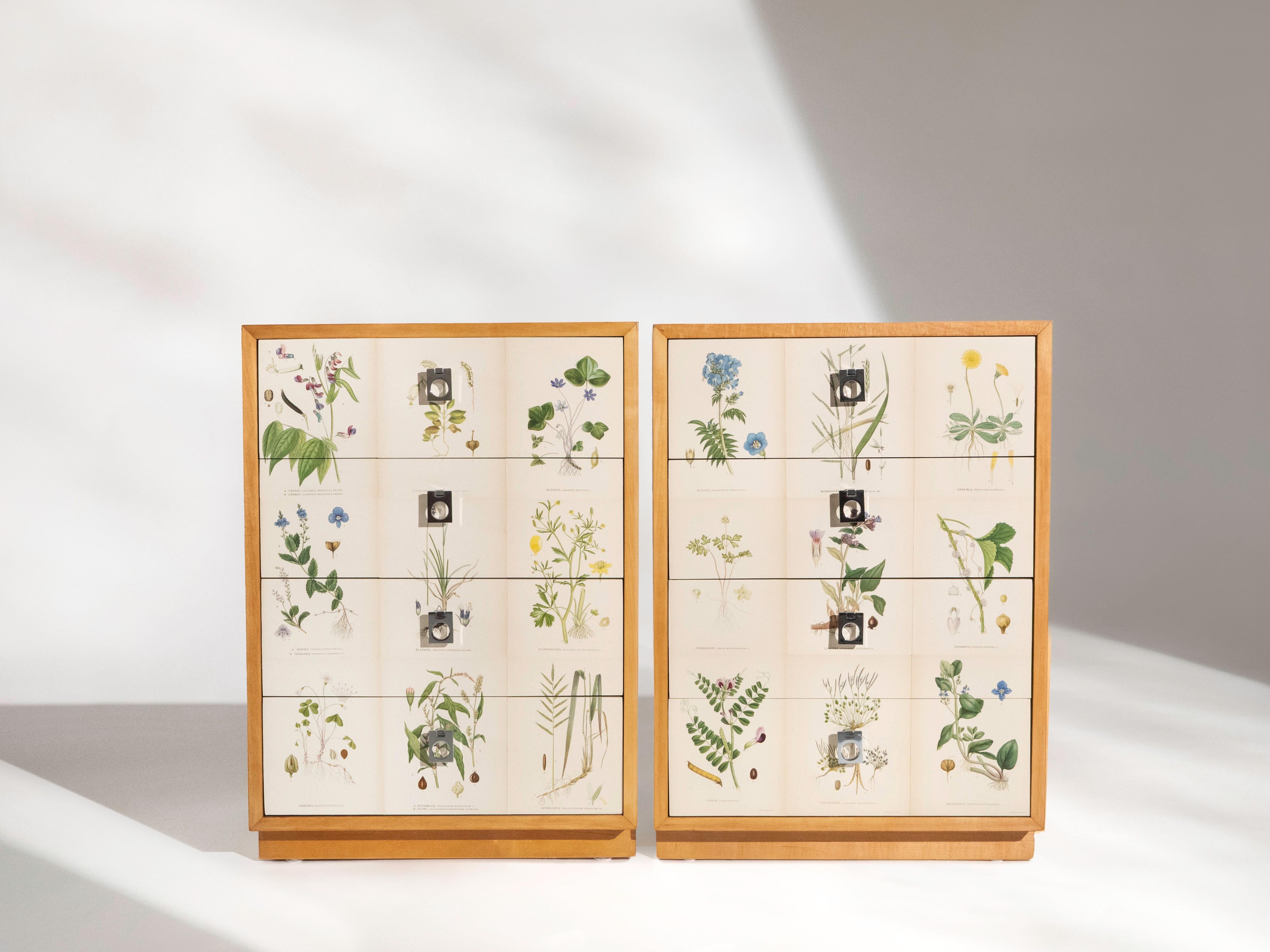 Un par de armarios cubiertos con ilustraciones de la segunda edición temprana (años 20) de la Flora de Norden de C.A. Lindman. Los armarios son de madera de abedul clara con tiradores metálicos. En muy buen estado, con un ligero desgaste debido a la