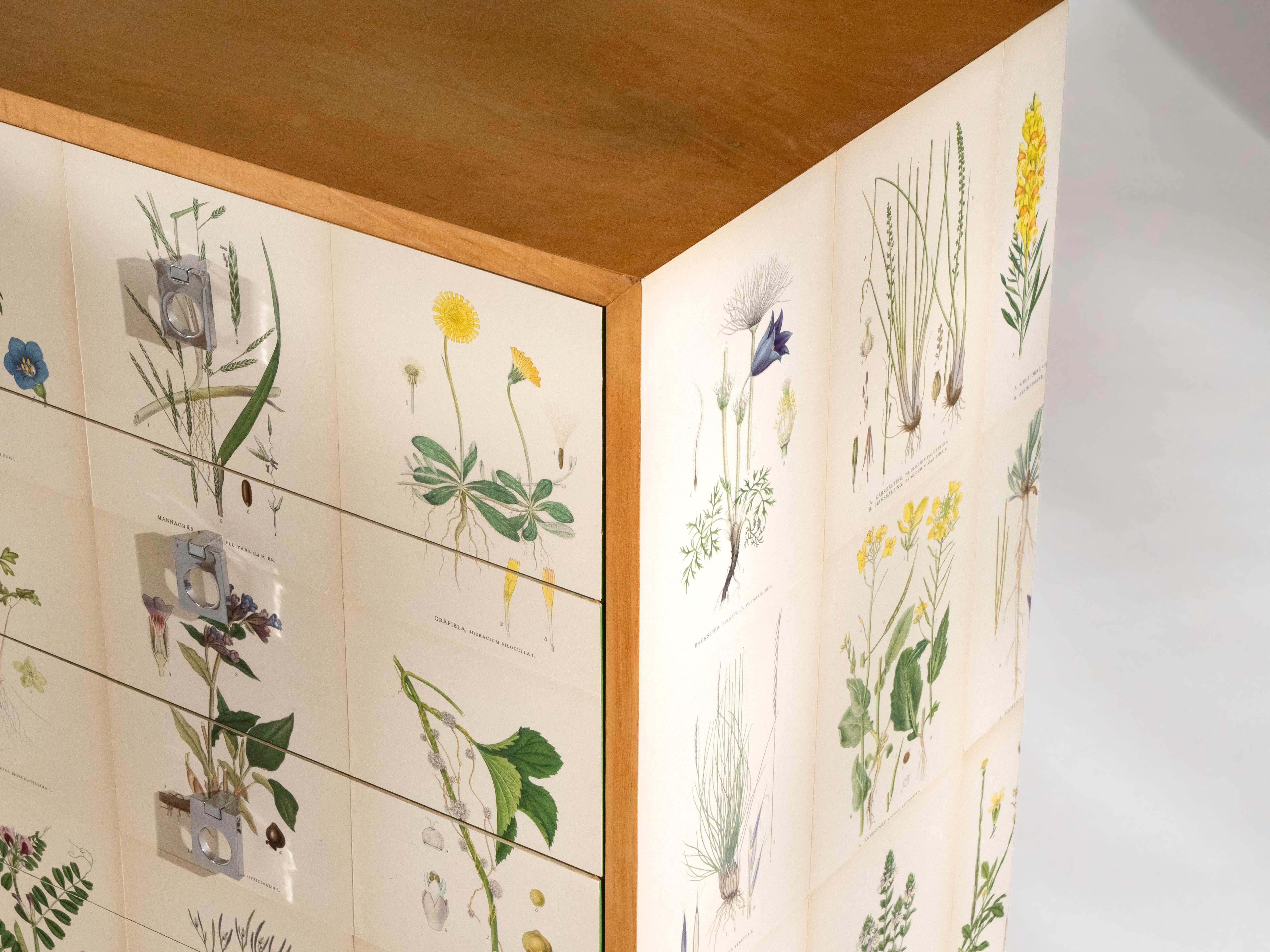 Par de armarios de abedul, estilo Josef Frank en Bueno estado para la venta en Los Angeles, CA