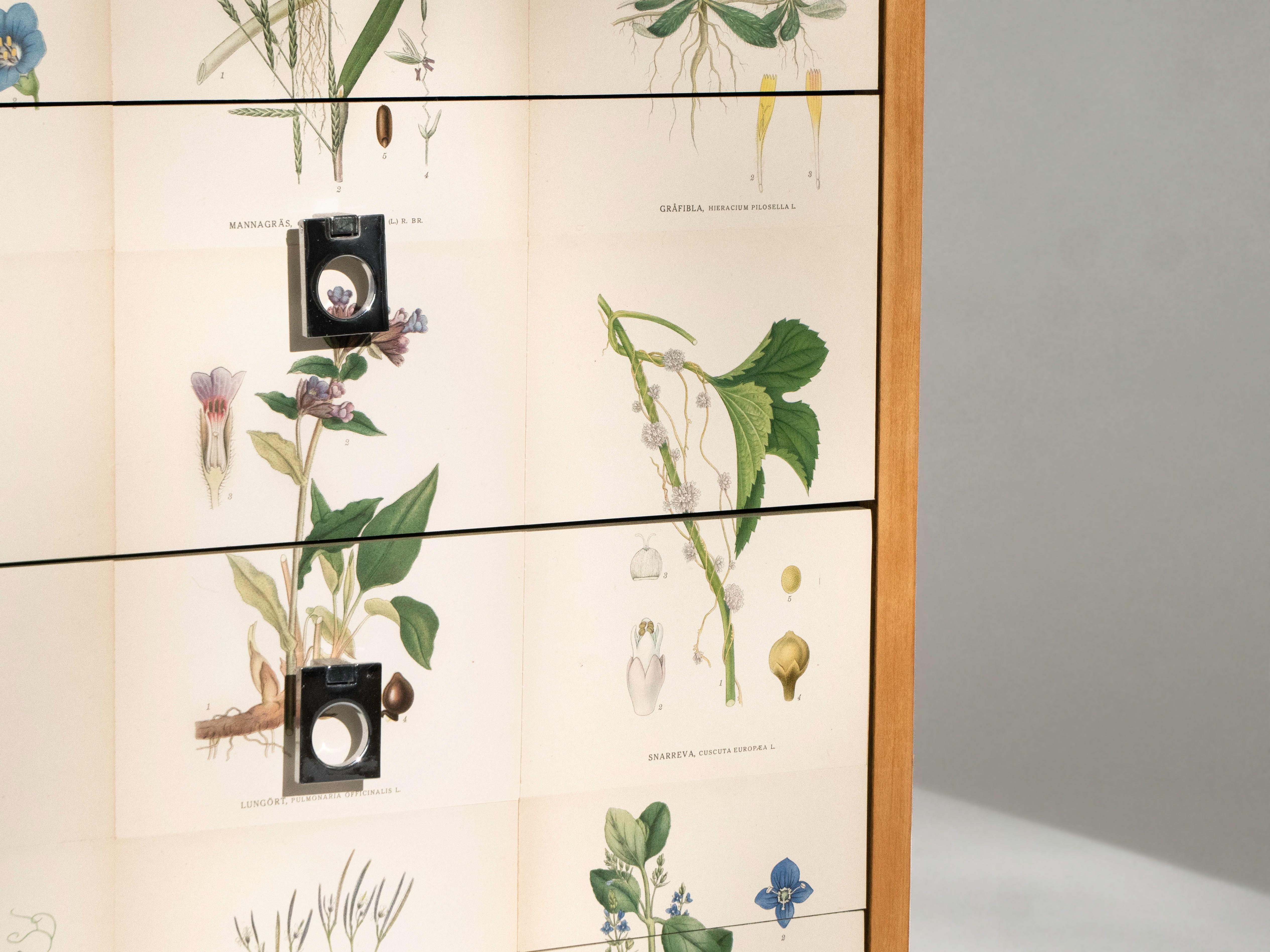 Par de armarios de abedul, estilo Josef Frank siglo XX en venta