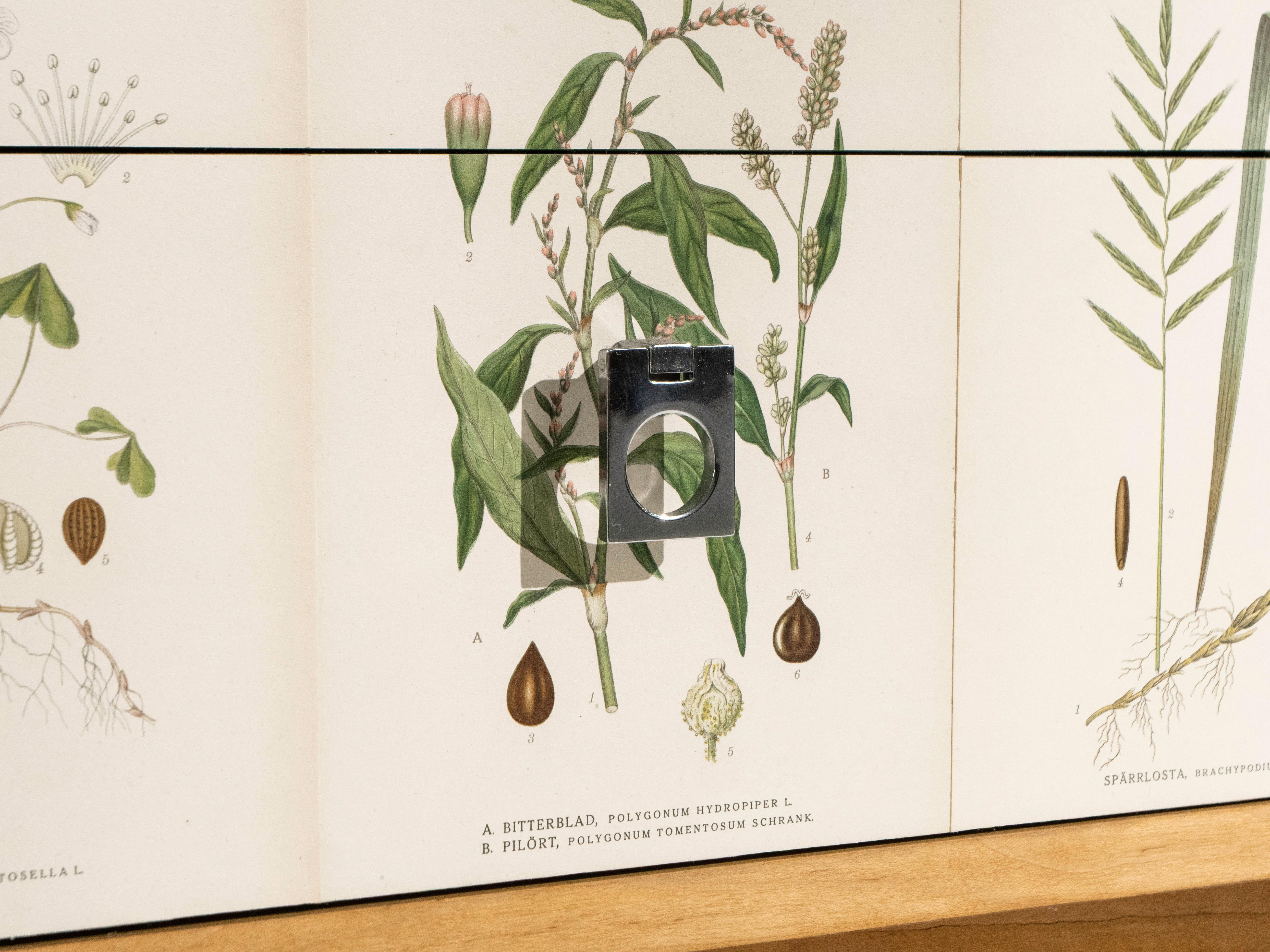 Par de armarios de abedul, estilo Josef Frank en venta 2