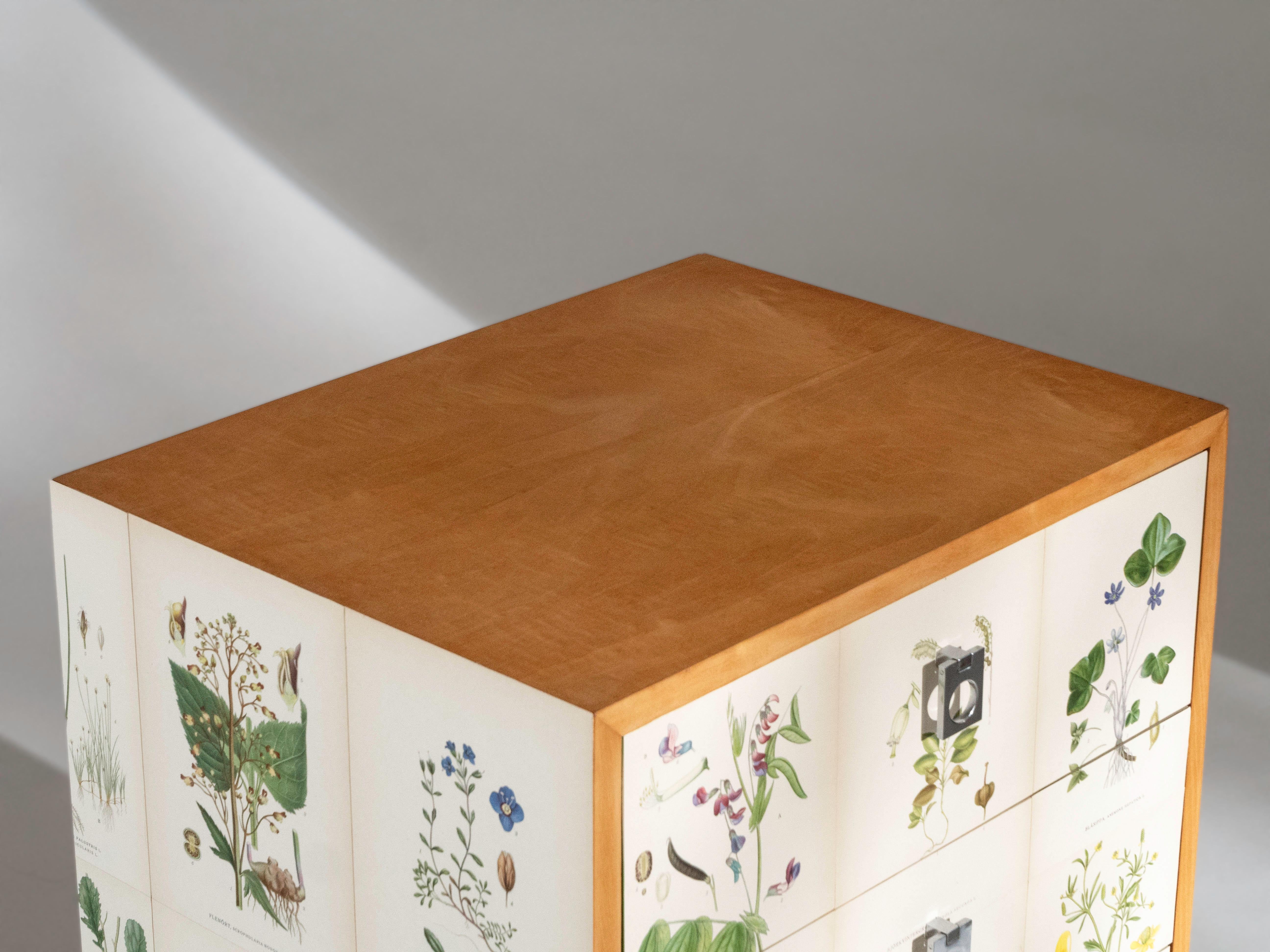 Par de armarios de abedul, estilo Josef Frank en venta 3