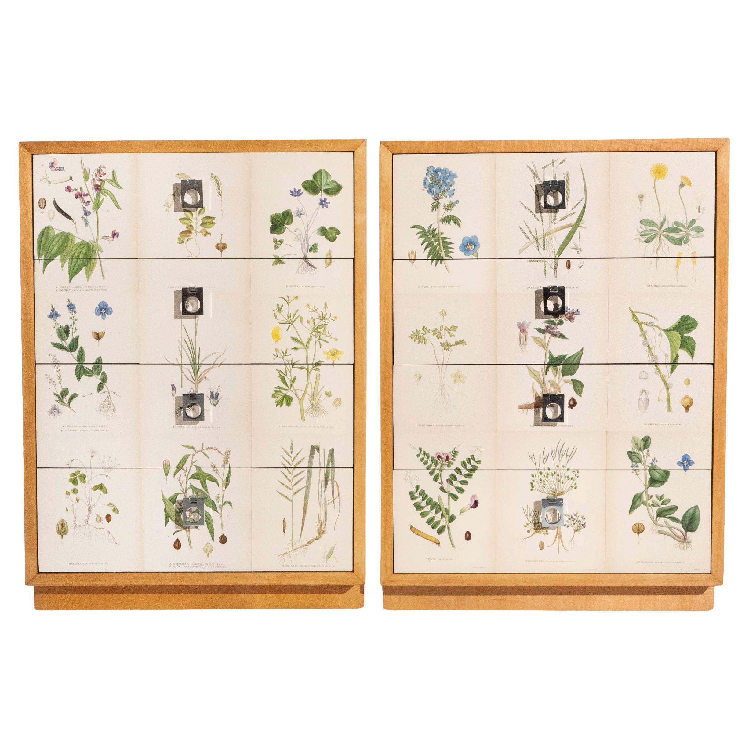 Illustrazioni di flora svedese di Norden Coppia di armadietti in betulla, stile Josef Frank