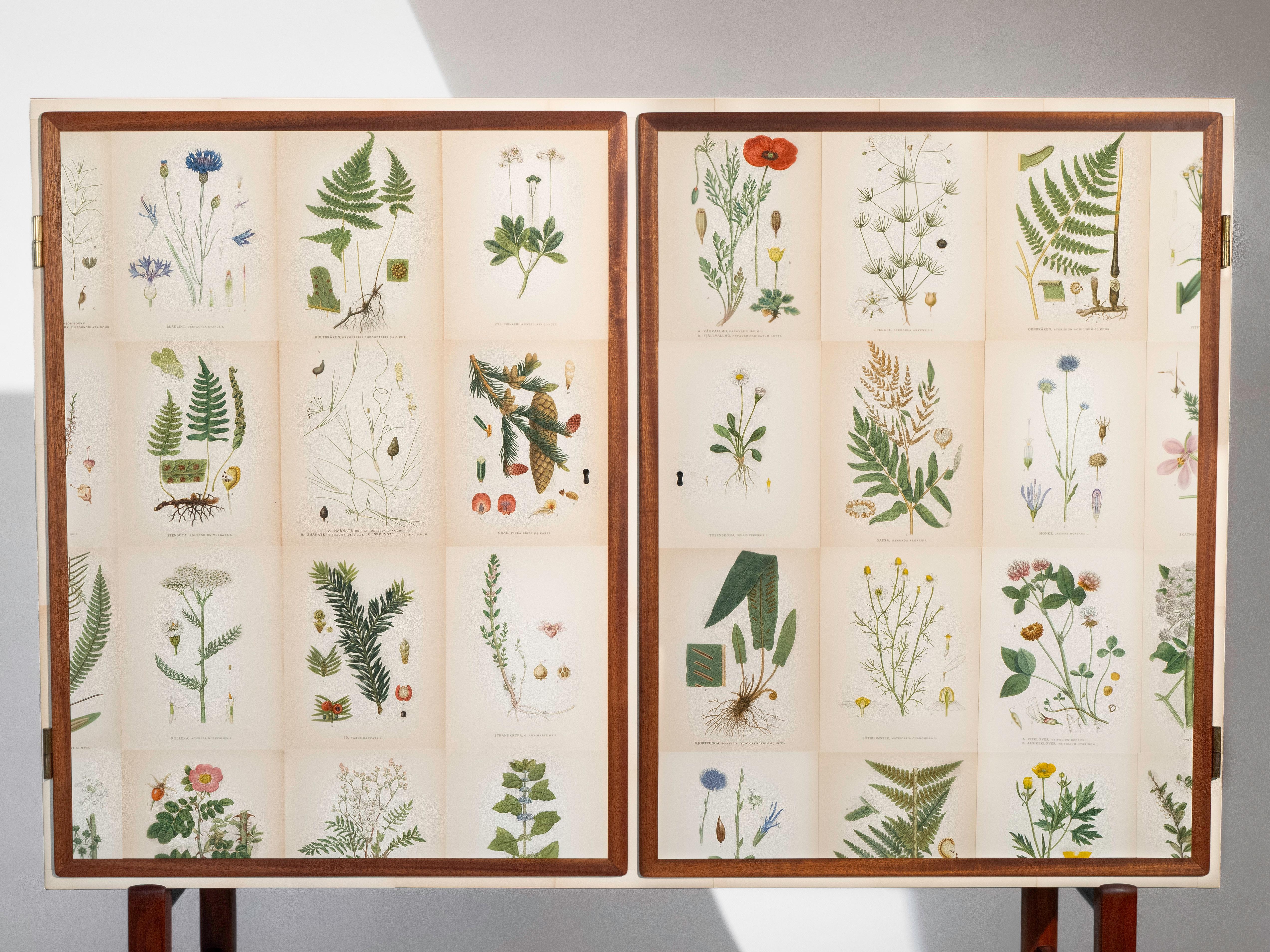 Scandinavo Flora svedese di Norden su mobile alto in mogano, stile Josef Frank anni '50 in vendita