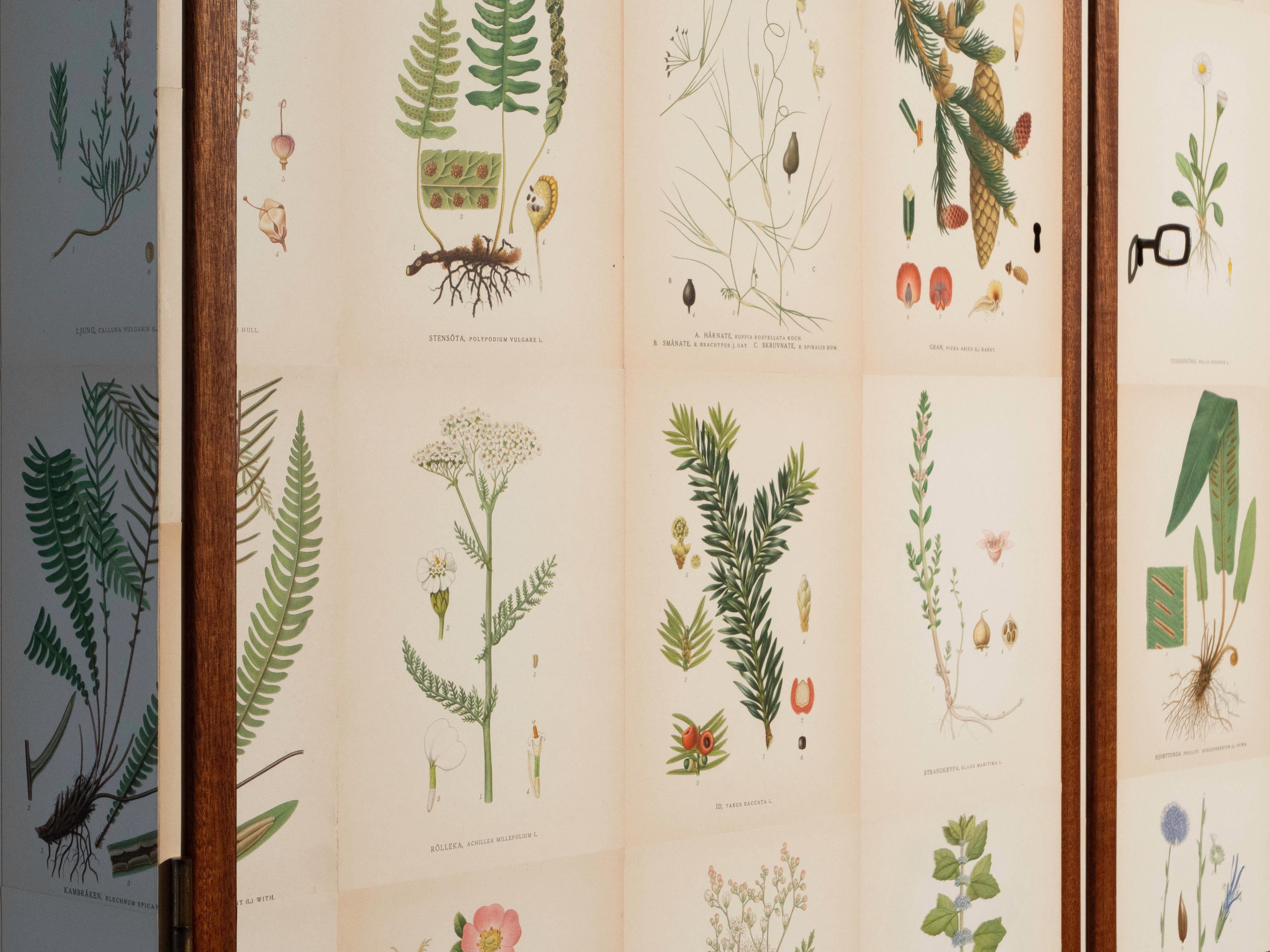 Flora svedese di Norden su mobile alto in mogano, stile Josef Frank anni '50 In condizioni buone in vendita a Los Angeles, CA