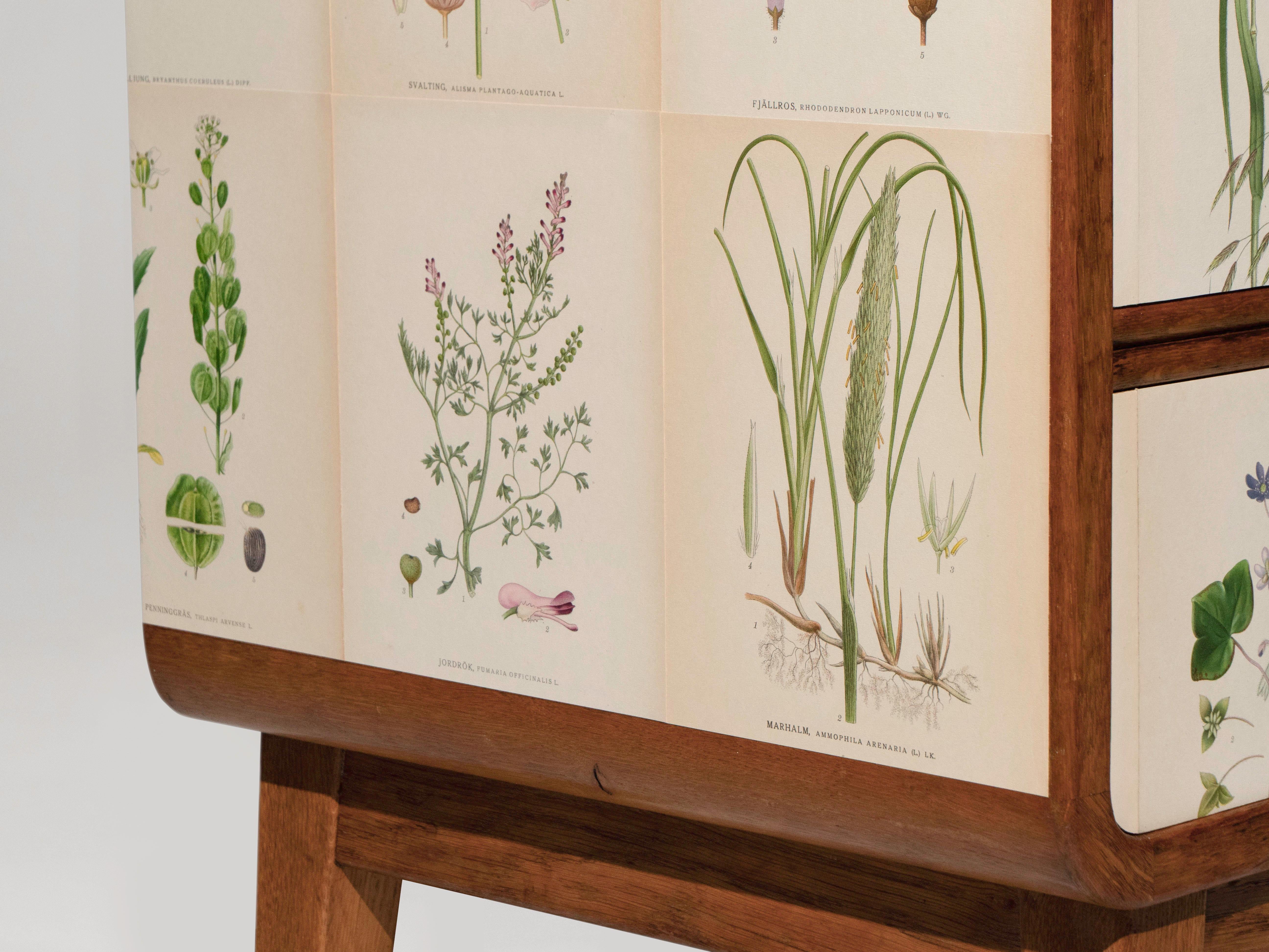 Swedish Oak 5 Drawer Dresser with Norden's Flora Illustrations Josef Frank Style For Sale 6