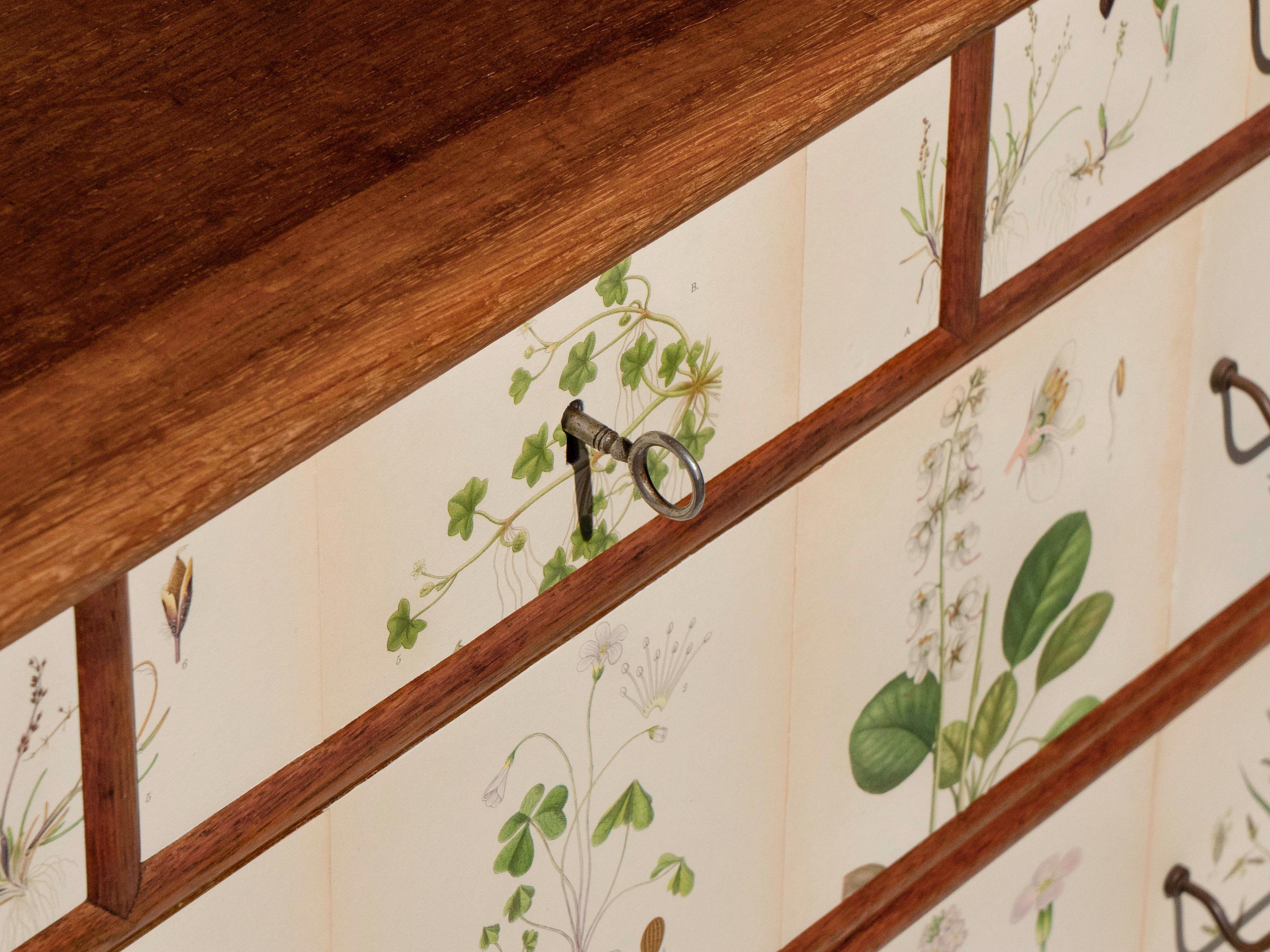 Swedish Oak 5 Drawer Dresser with Norden's Flora Illustrations Josef Frank Style For Sale 7