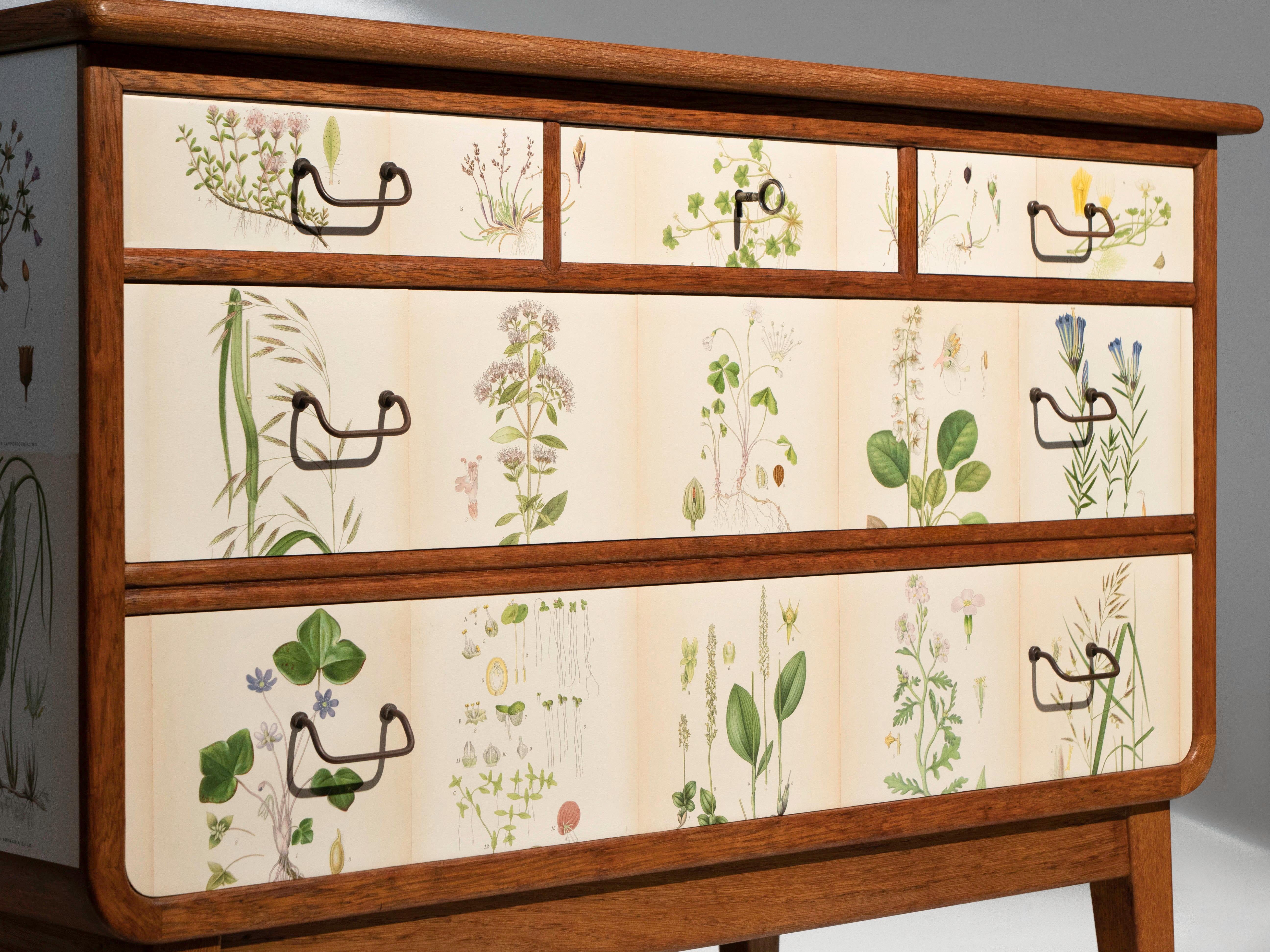 Scandinavian Modern Swedish Oak 5 Drawer Dresser with Norden's Flora Illustrations Josef Frank Style For Sale