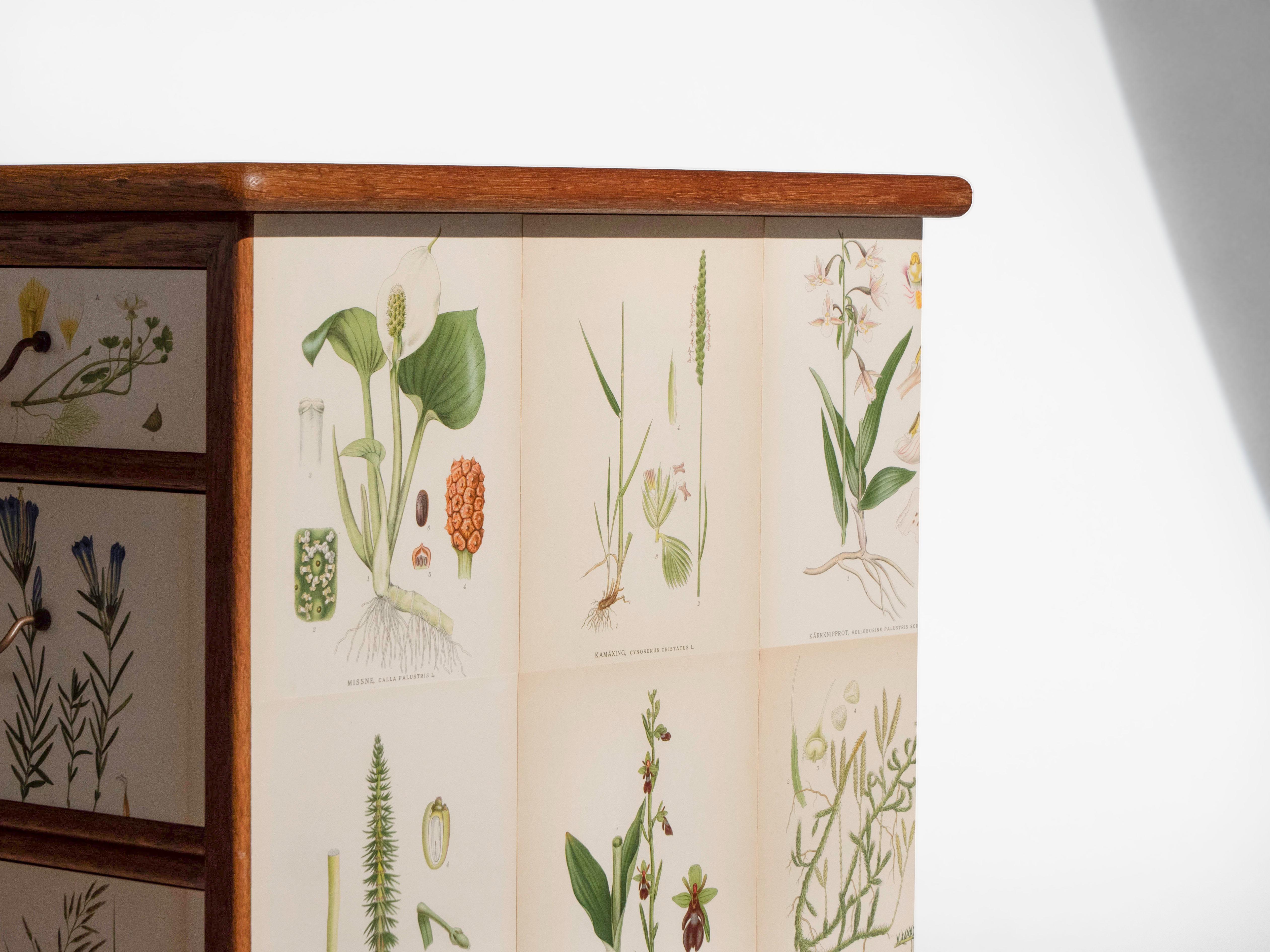 Swedish Oak 5 Drawer Dresser with Norden's Flora Illustrations Josef Frank Style For Sale 2