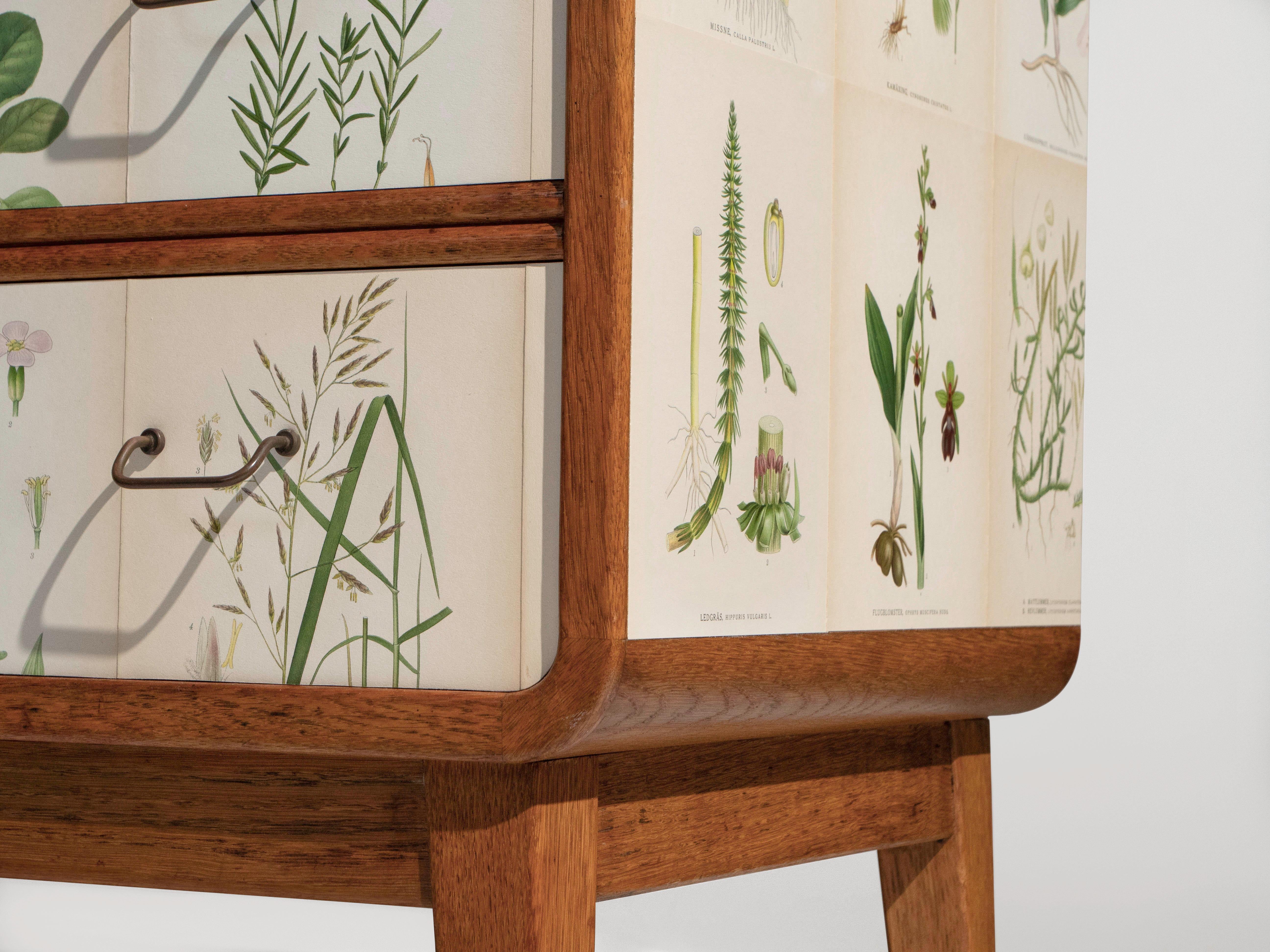Swedish Oak 5 Drawer Dresser with Norden's Flora Illustrations Josef Frank Style For Sale 3