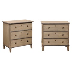 Swedish Pair Gustavian Style Painted Wood Chests, Mid 20th