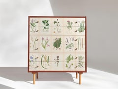 Swedish Six Drawer Dresser with Nordens Flora Illustrations
