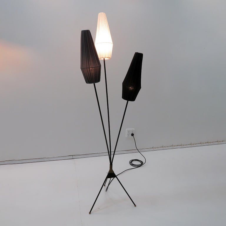 Picture of Swedish Tripod Floor Lamp, 1950 For Sale at 1stDibs