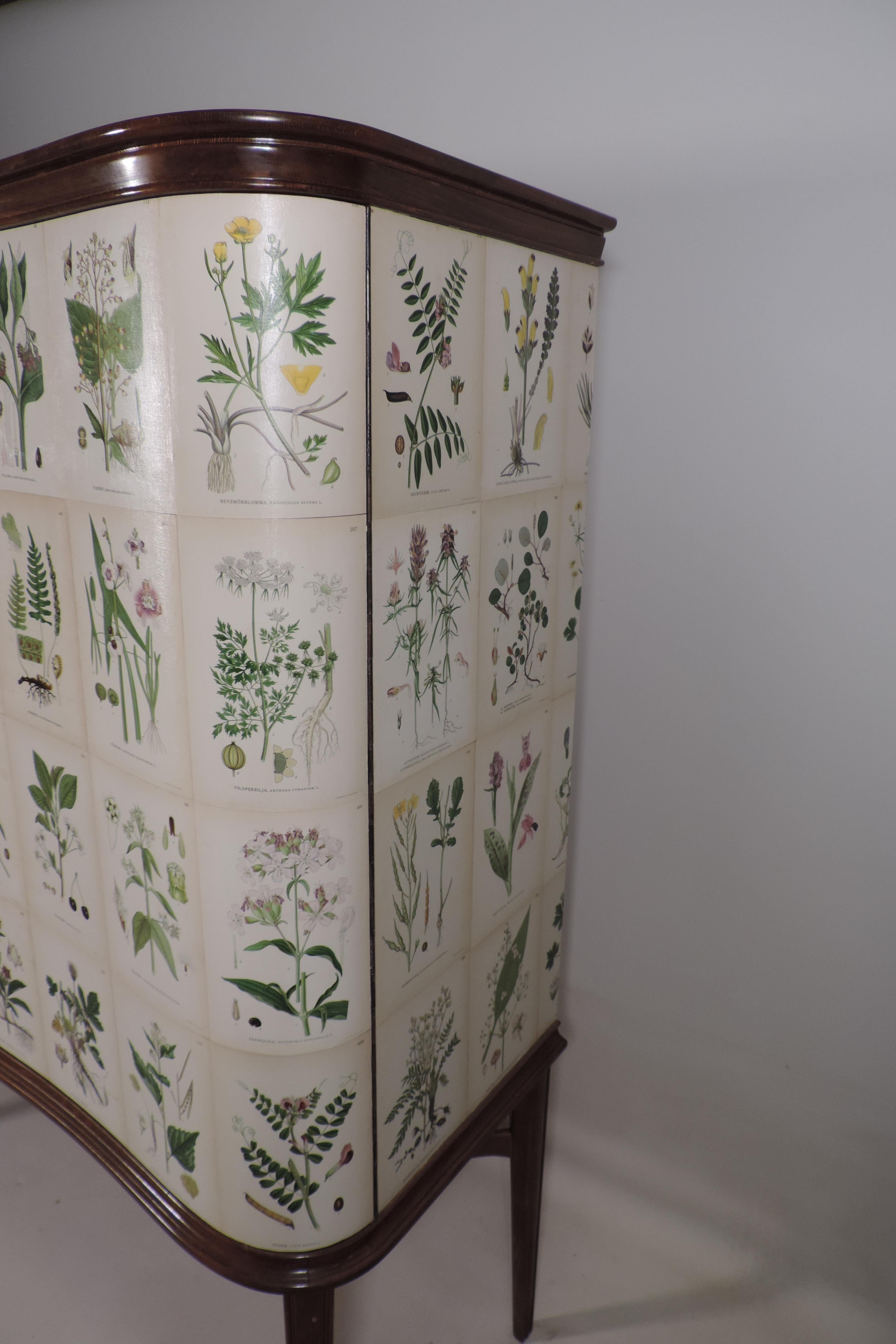 This fabulous Swedish vintage cabinet from the 1940s-1950s has been restyled in our studio to be covered in these amazing lithograph prints taken from C.A.M Lindman, Nordens Flora from 1926 then sealed with lacquer for protection. These are the same