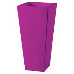 Sweet Fuchsia 44 Y Pot by SLIDE Studio