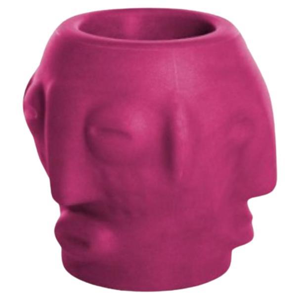 Sweet Fuchsia Threebù Pot by Marcantonio