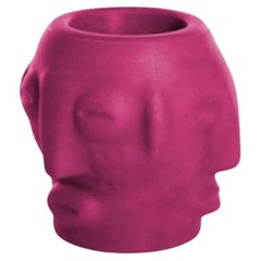 Sweet Fuchsia Threebù Pot by Marcantonio