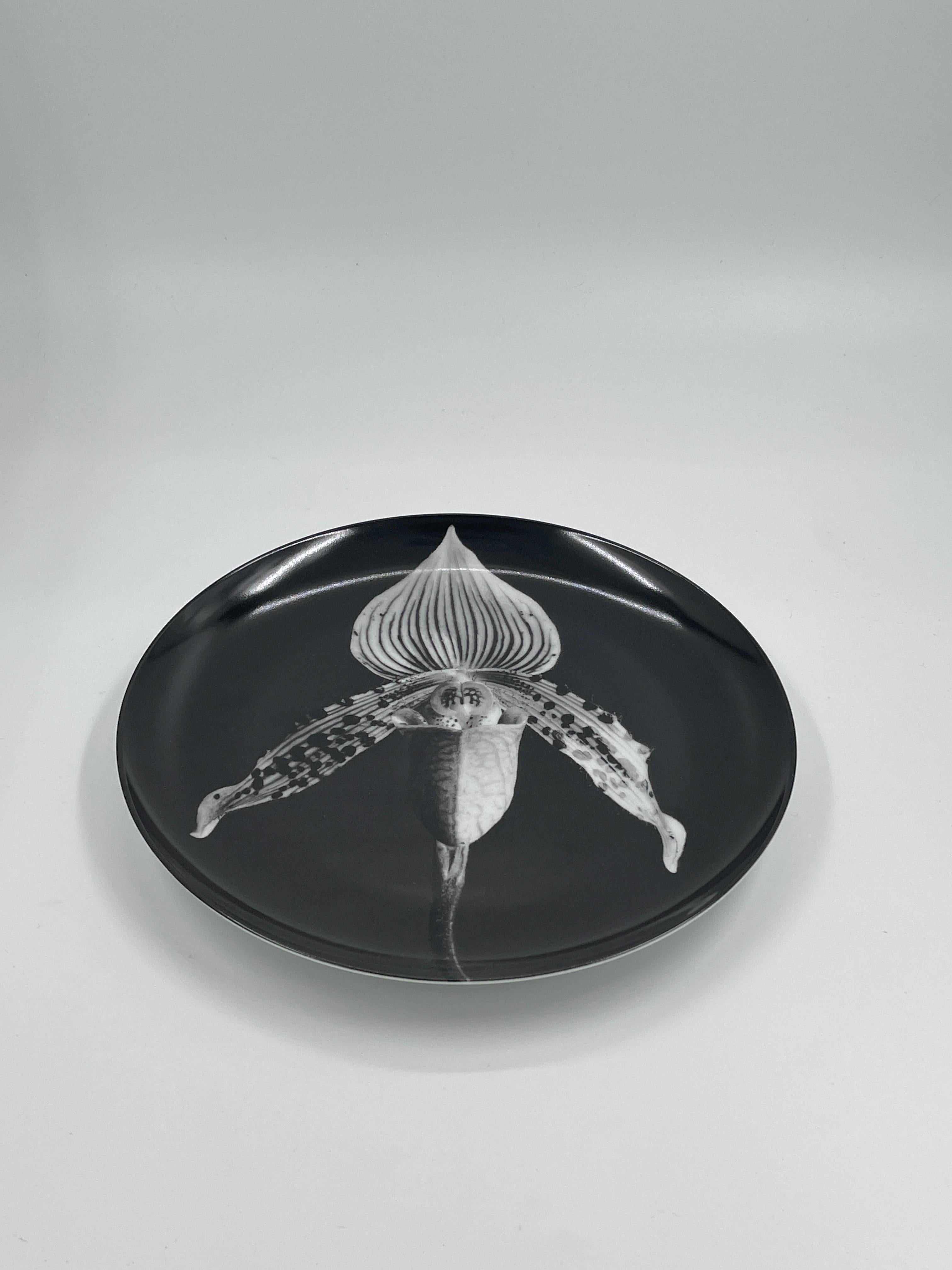 Schwarz-weiße Sammelteller aus Porzellan von Swid Powell und Robert Mapplethorpe. Das Set enthält die Teller ''Orchid'' - 1987 , 
