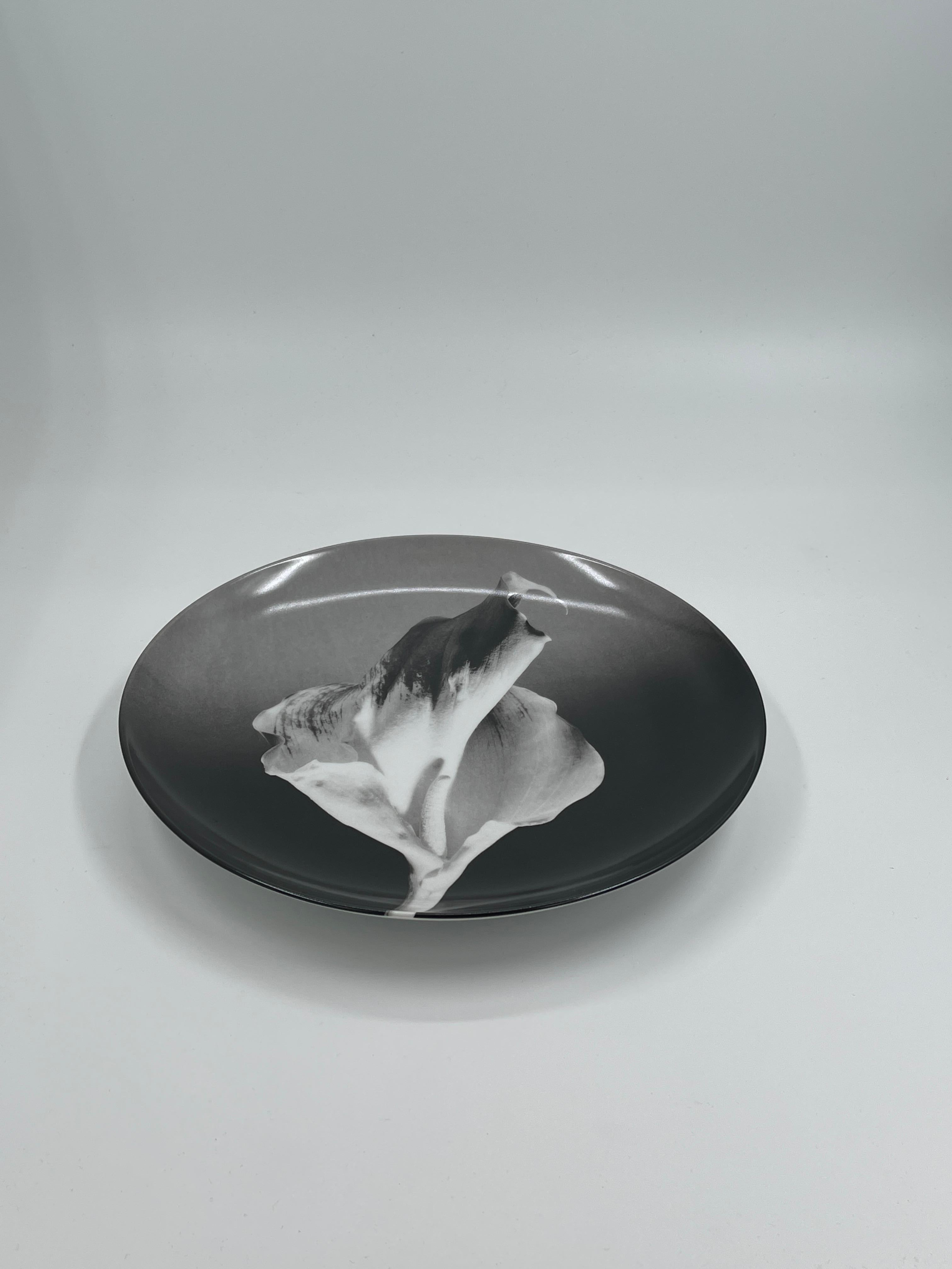 Modern Swid Powell - Robert Mapplethorpe Porcelain Plates, Orchid - Flower - Calla Lily For Sale