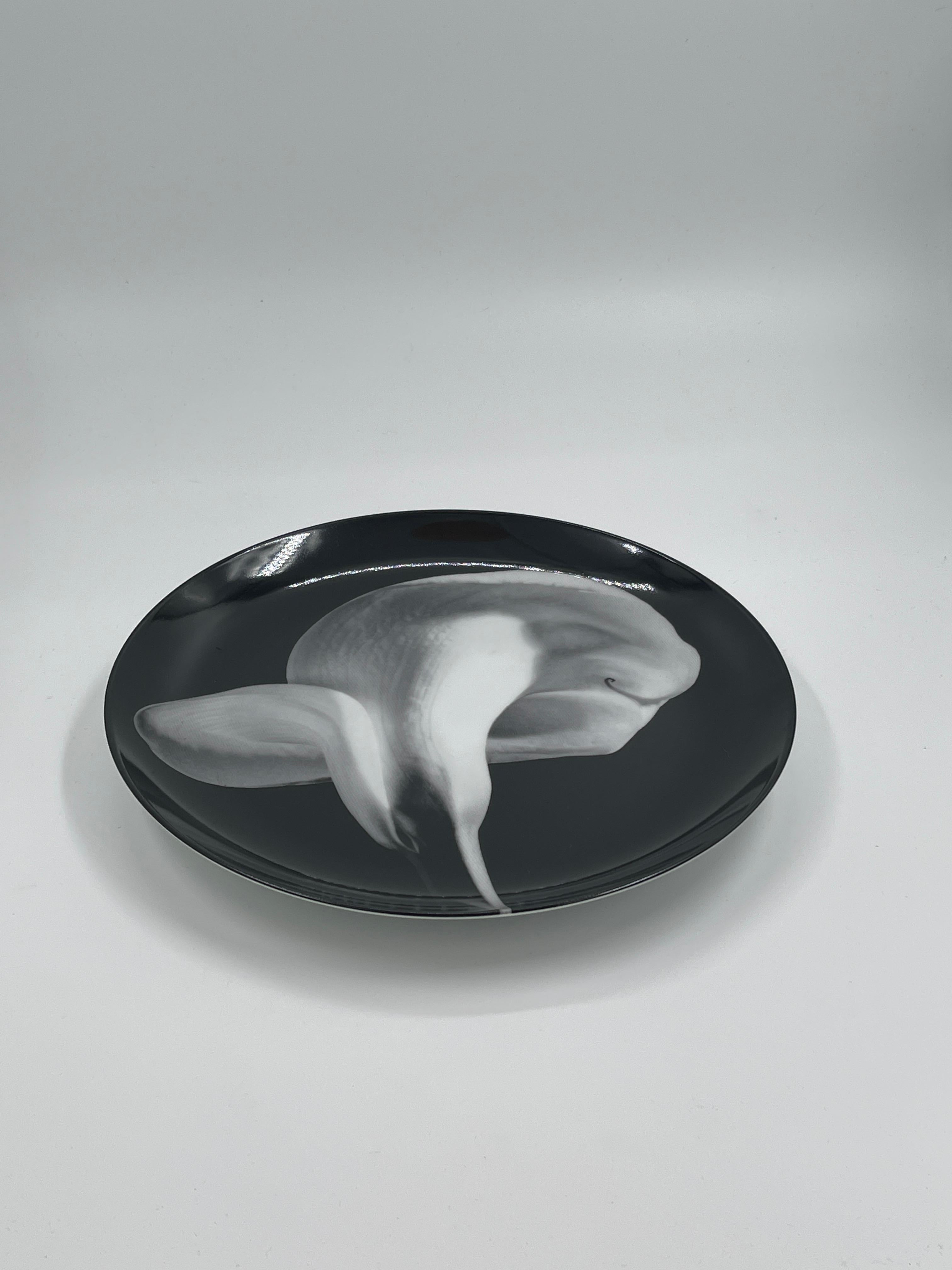 Japanese Swid Powell - Robert Mapplethorpe Porcelain Plates, Orchid - Flower - Calla Lily For Sale